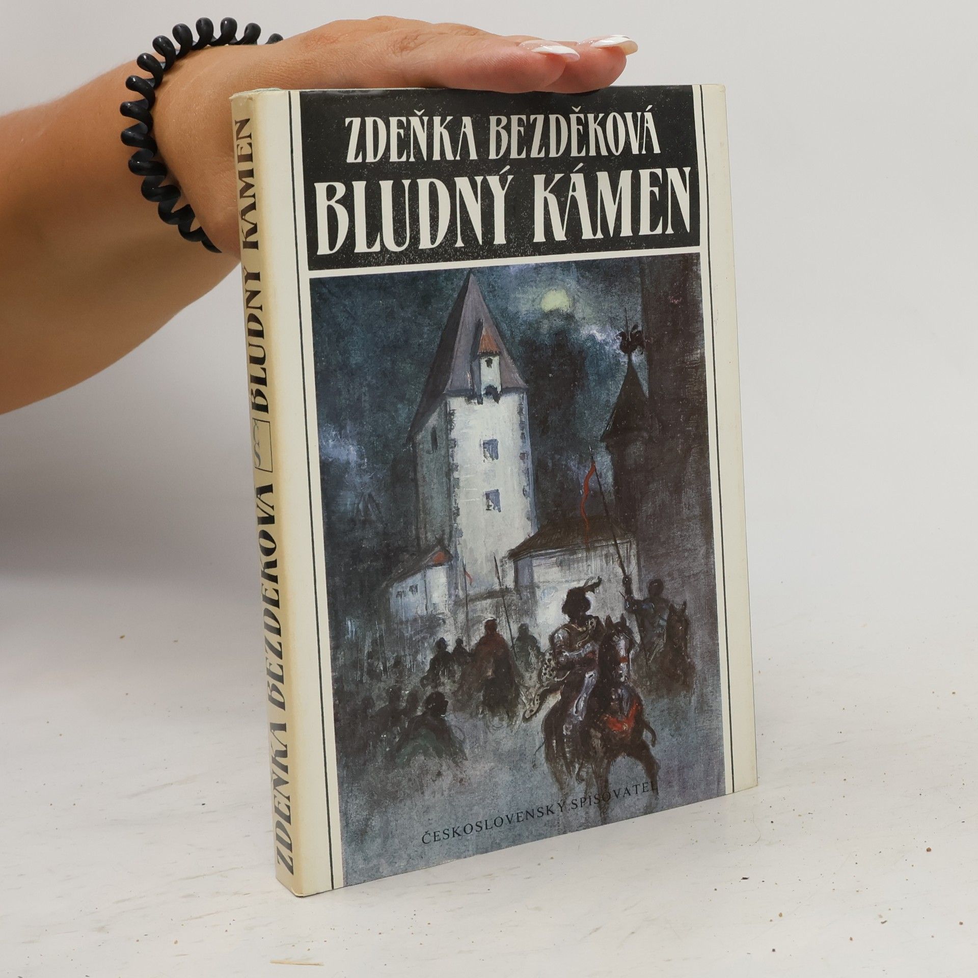 Zdeňka Bezděková Bludný kámen