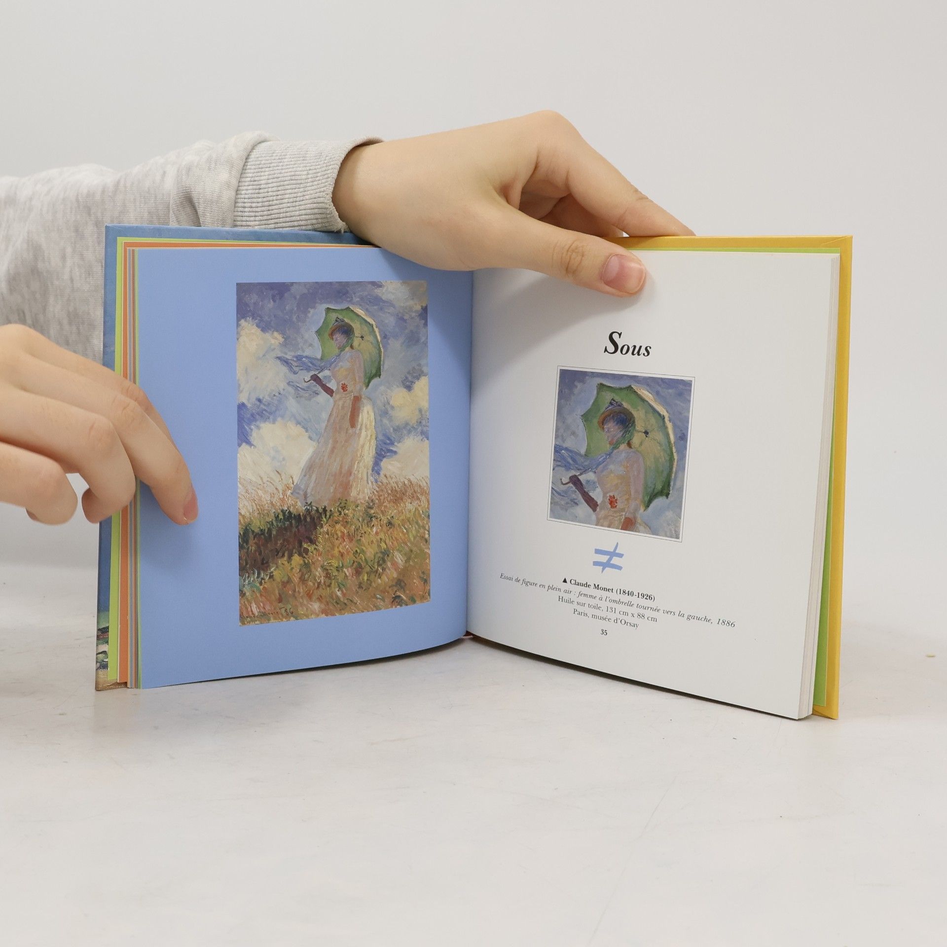 Caroline Desnoëttes Le musée des contraires