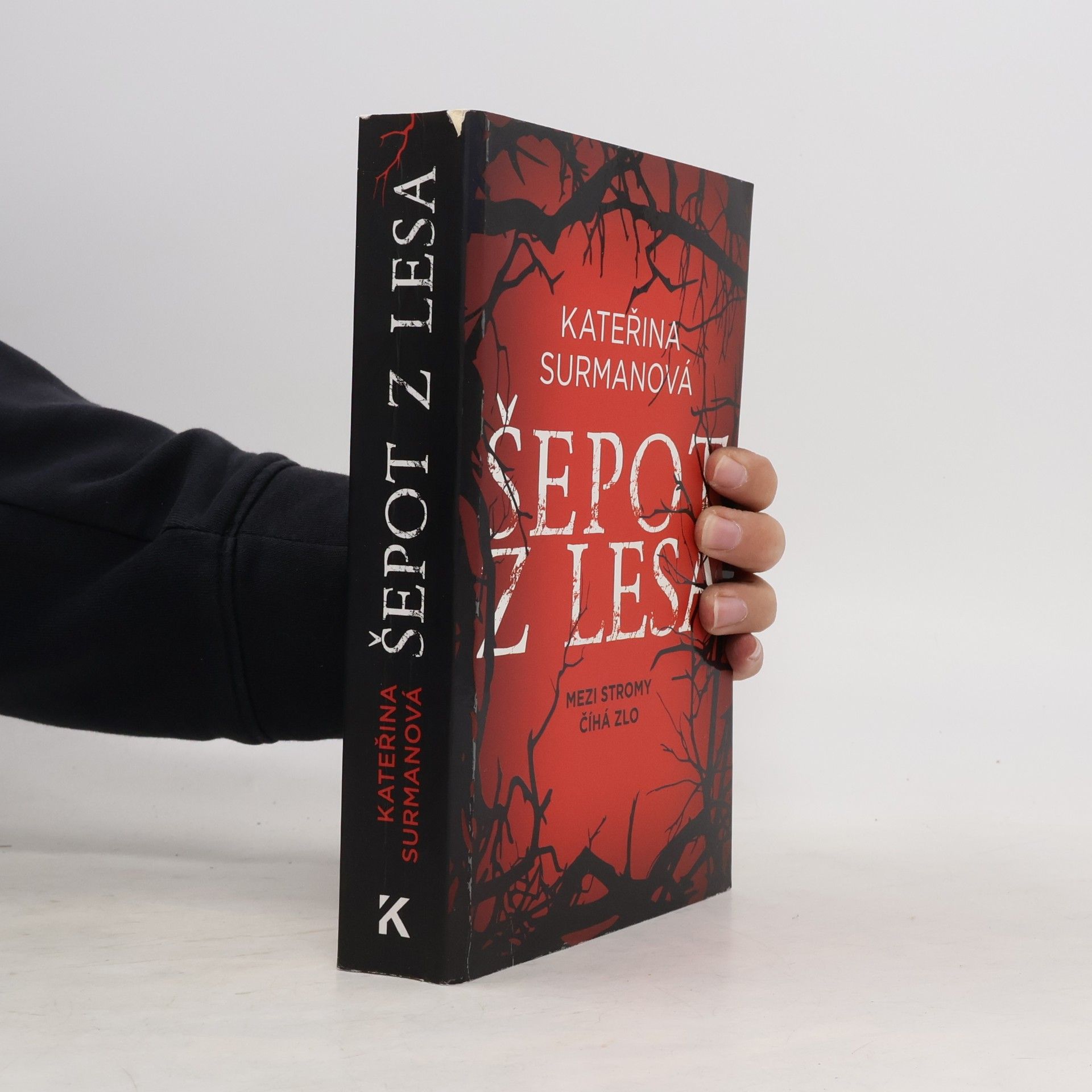 Kateřina Surmanová Šepot z lesa