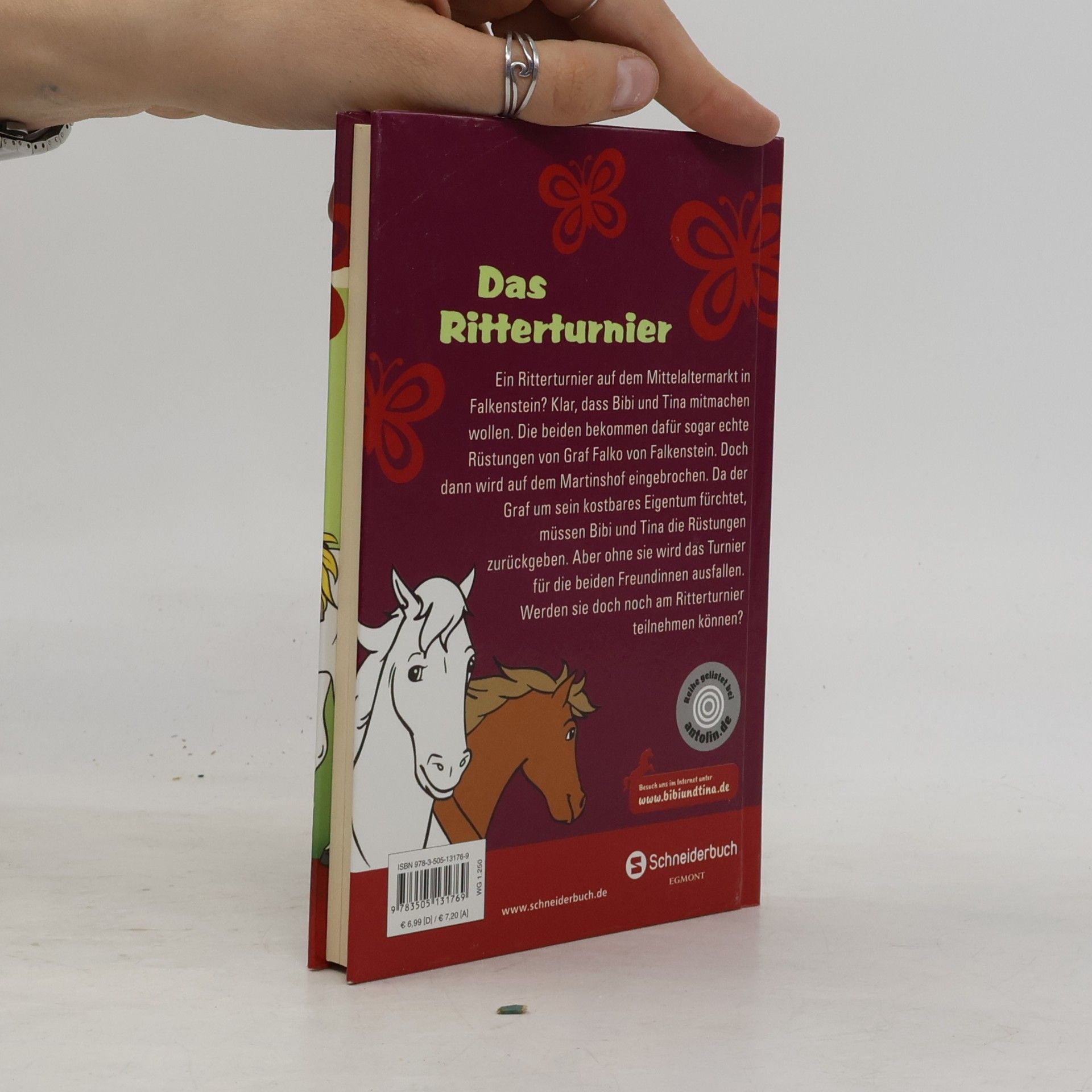 Theo Schwarz Bibi und Tina. Das Ritterturnier