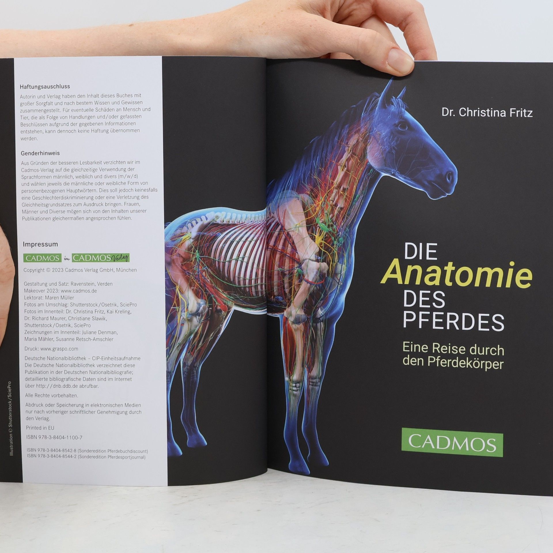 Christina Fritz Die Anatomie des Pferdes