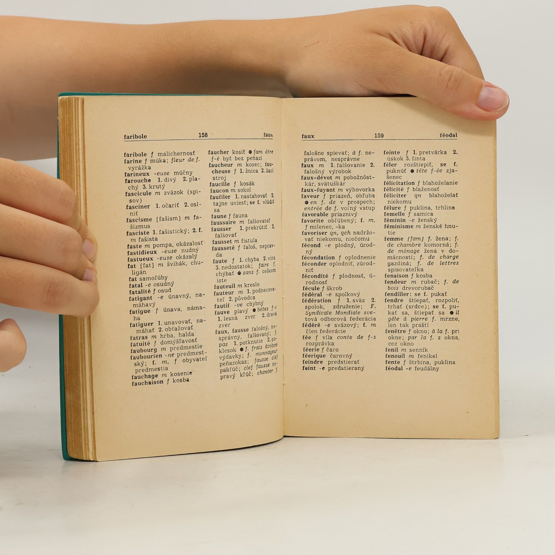 Autorenkollektiv Francúzsko slovenský vreckový slovník