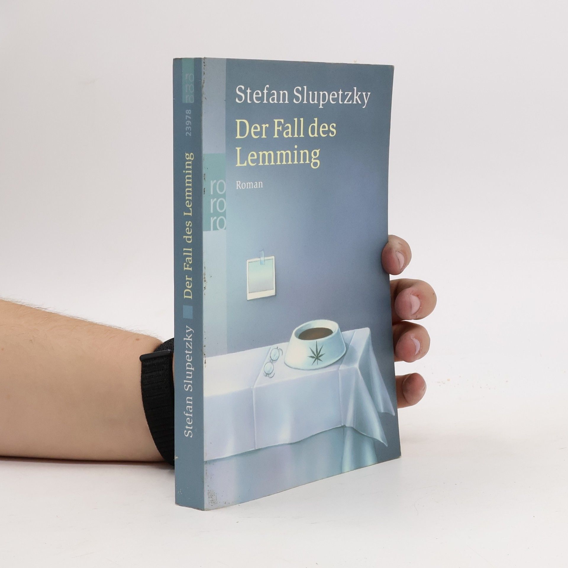Stefan Slupetzky Der Fall des Lemming