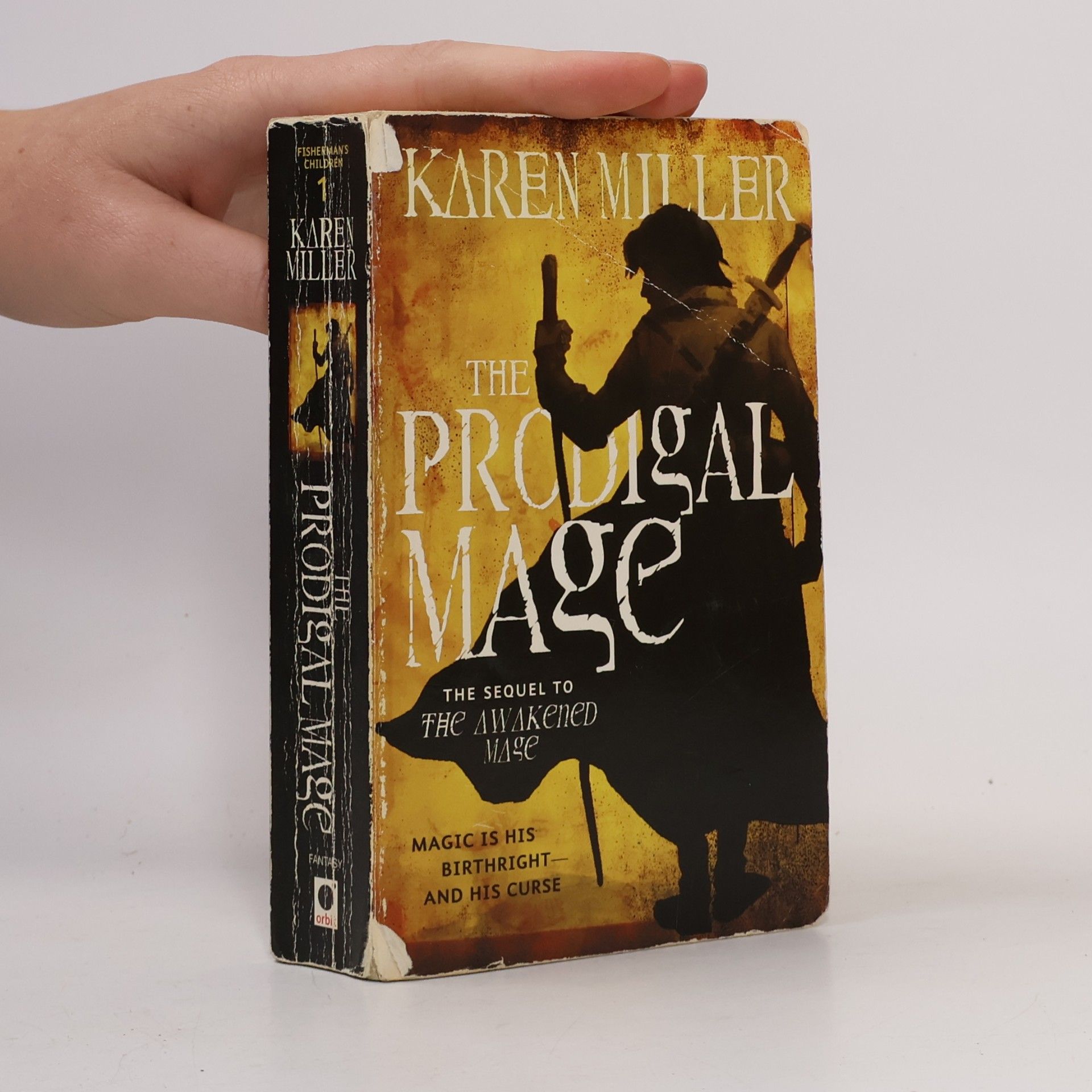 The Prodigal Mage