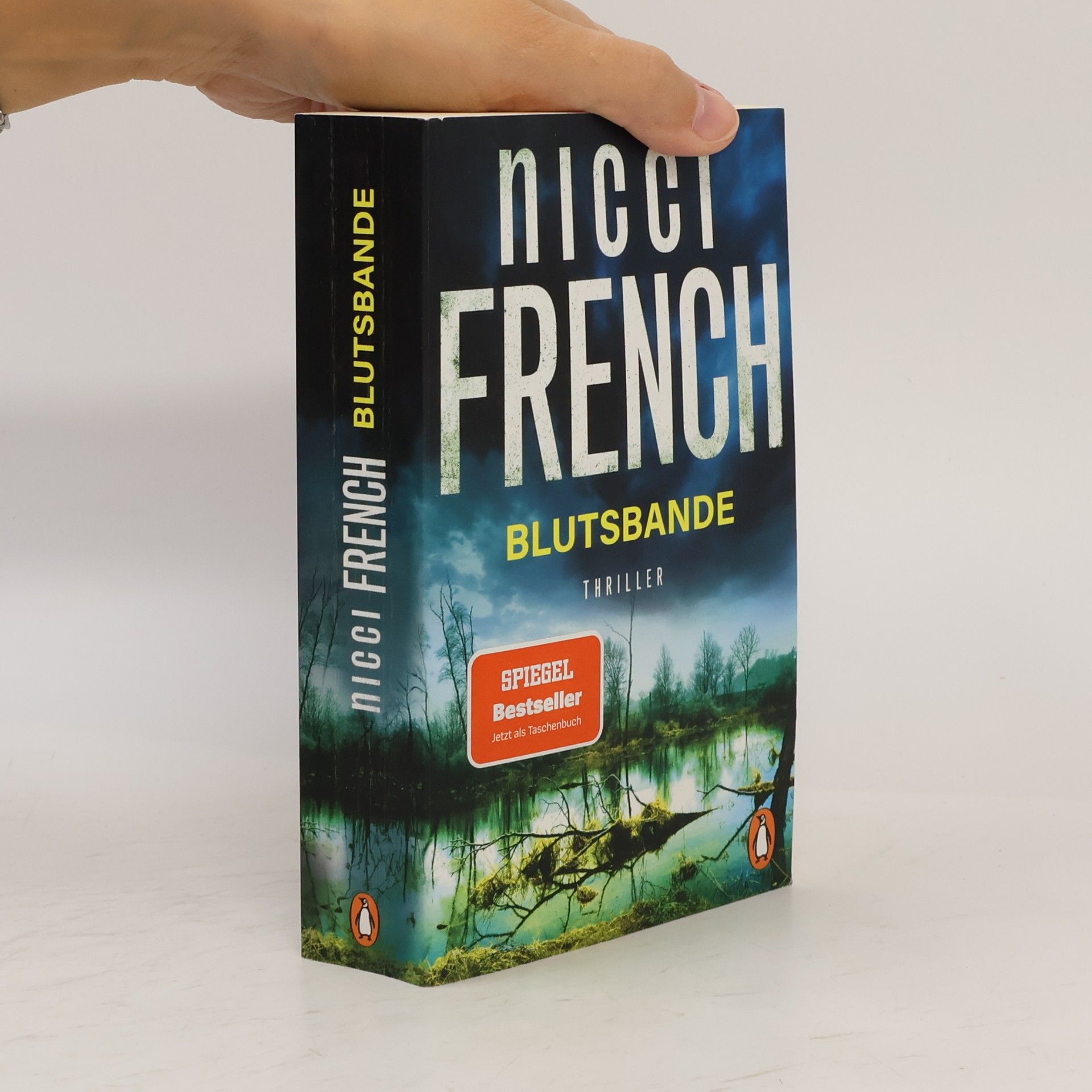 Nicci French Blutsbande