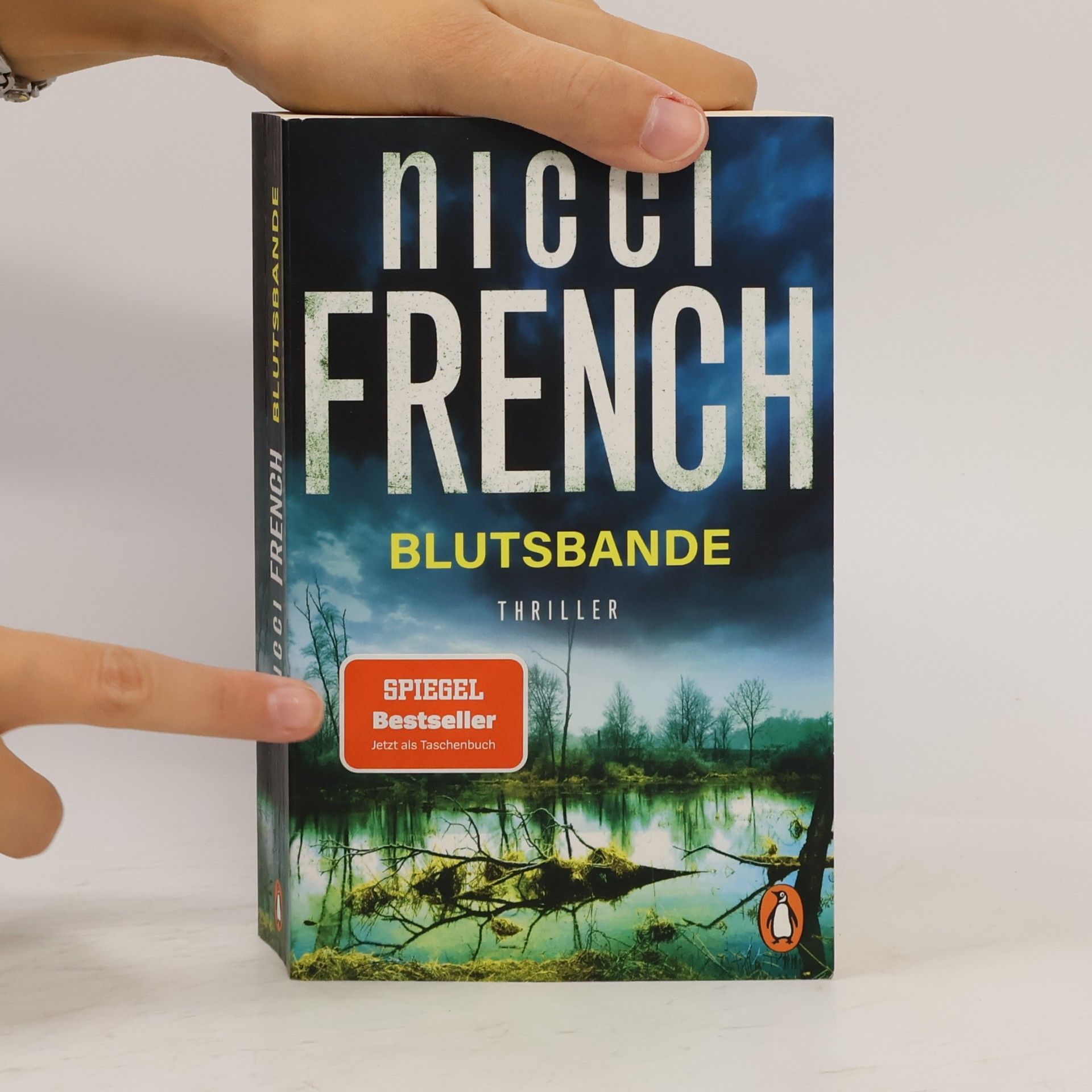 Nicci French Blutsbande