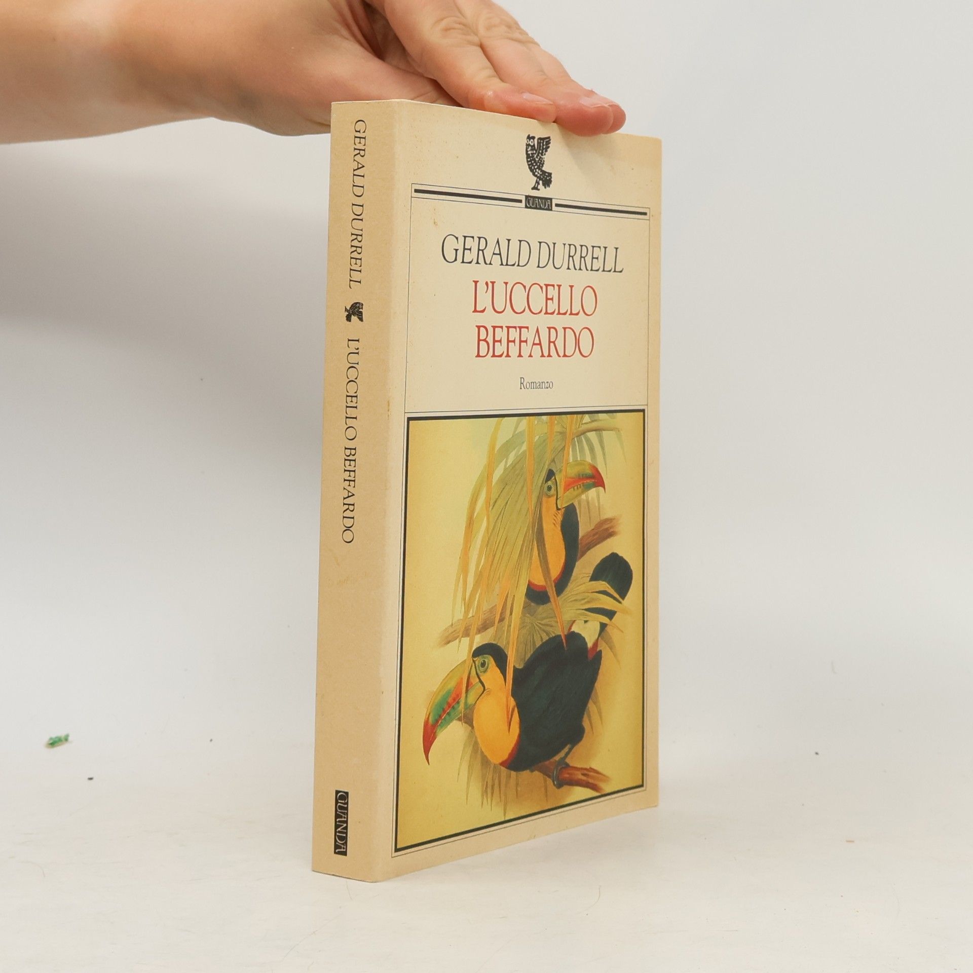 Maria Azzolini L'uccello beffardo