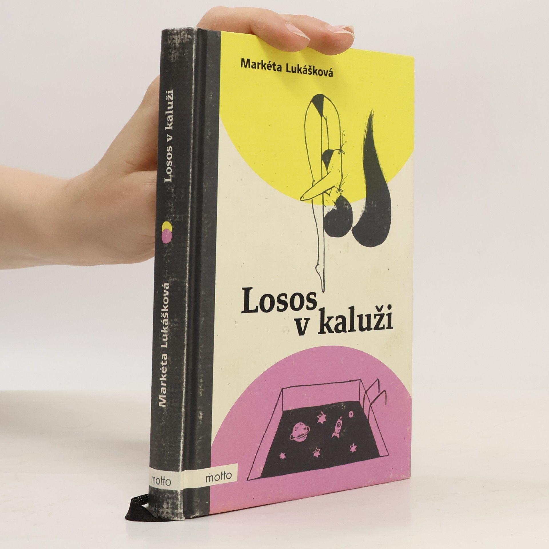 Markéta Lukášková Losos v kaluži