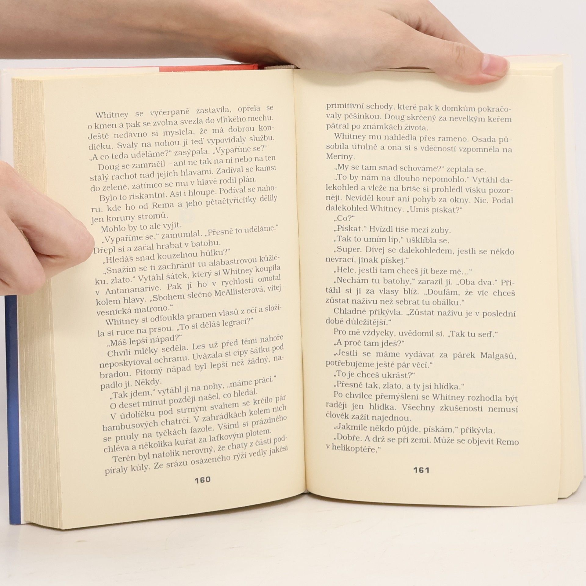 Nora Roberts Žhavý led