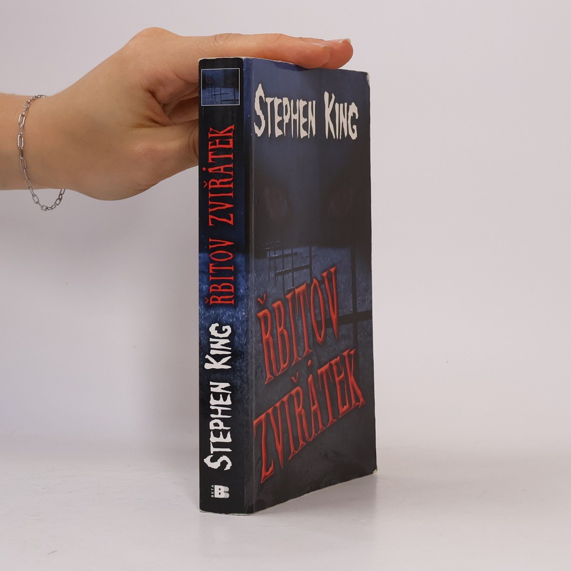 Stephen King Řbitov zviřátek
