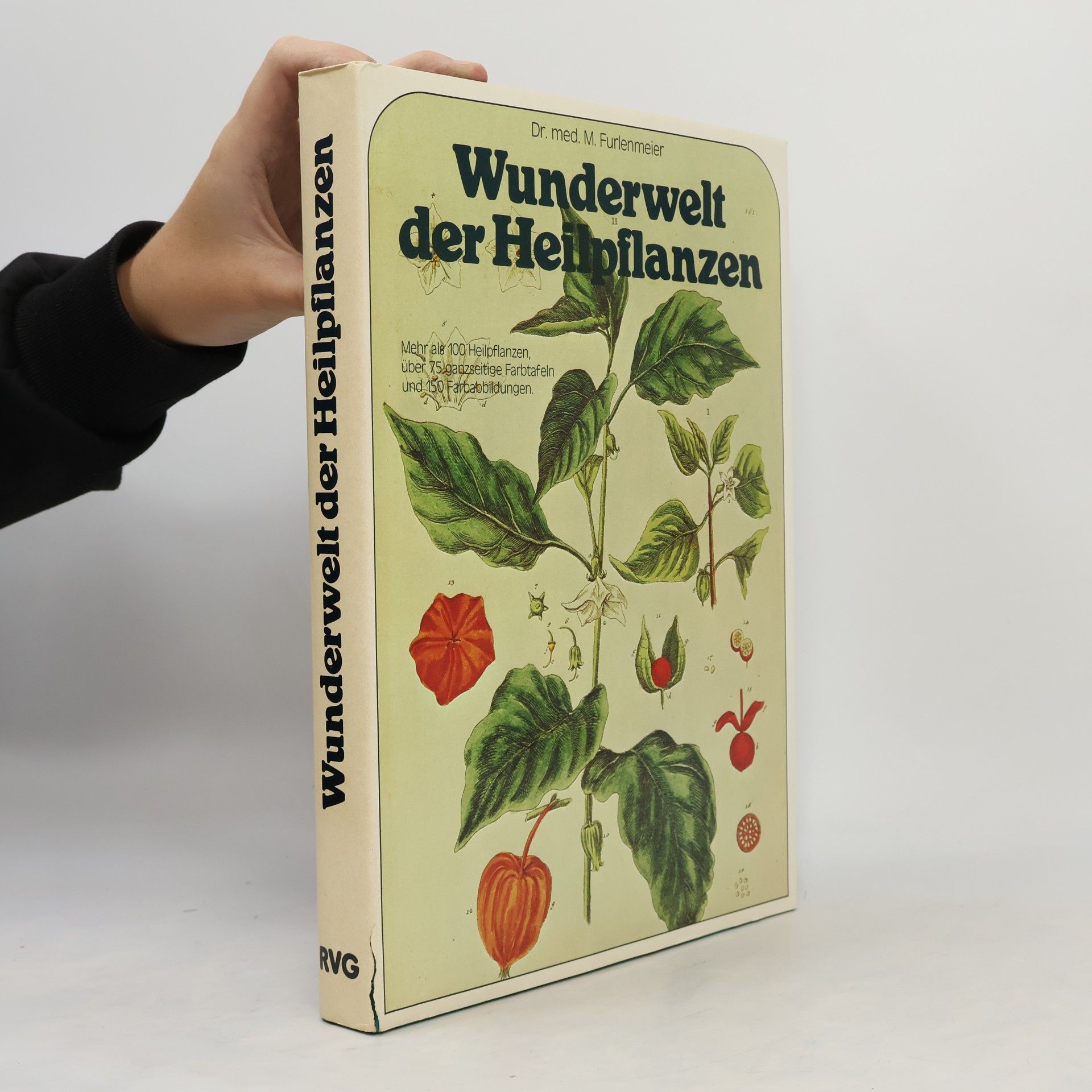 Martin Furlenmeier Wunderwelt der Heilpflanzen