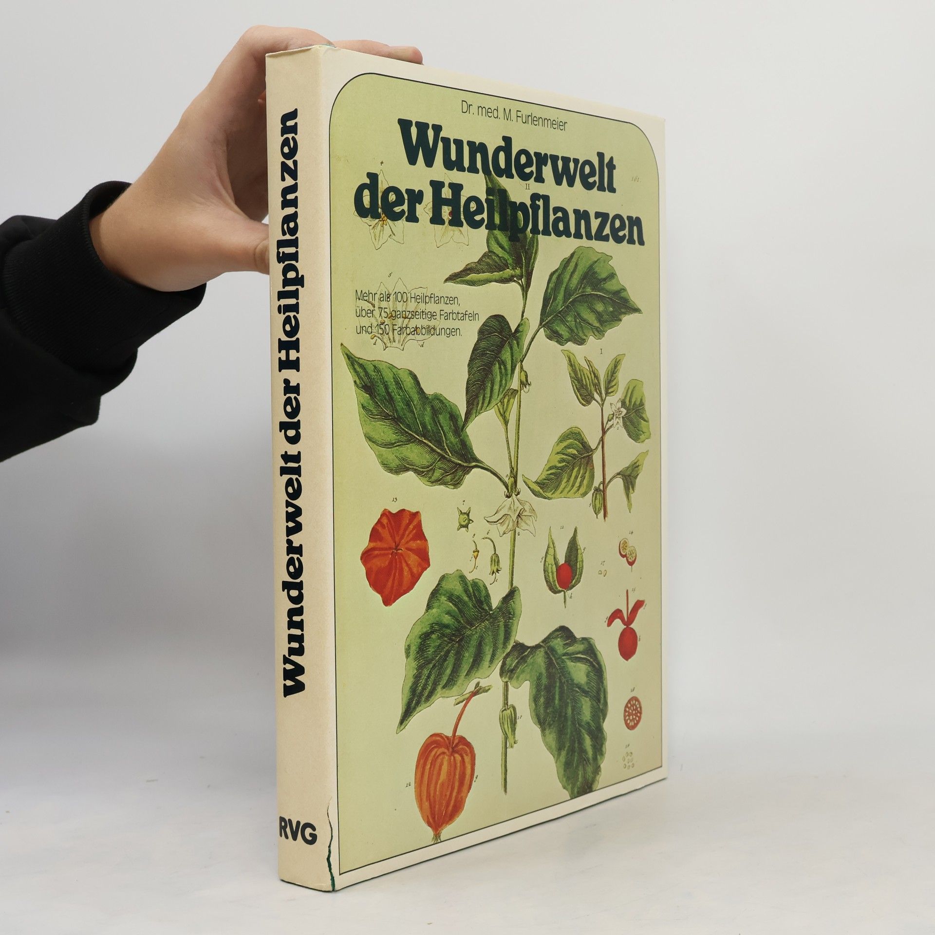 Martin Furlenmeier Wunderwelt der Heilpflanzen