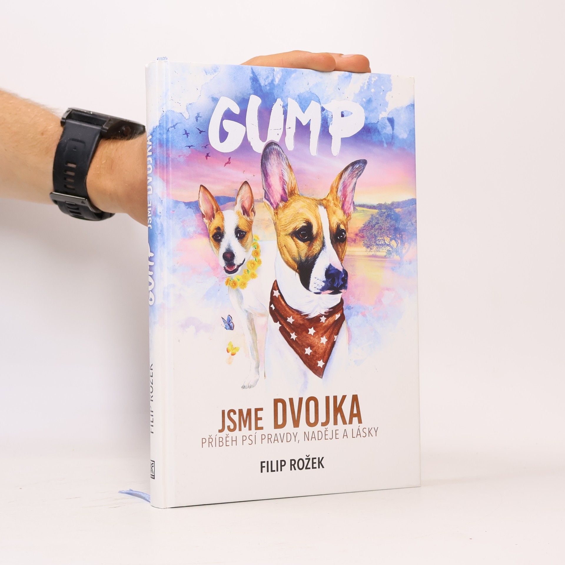 Filip Rožek Gump jsme dvojka: Příběh psí pravdy, naděje a lásky