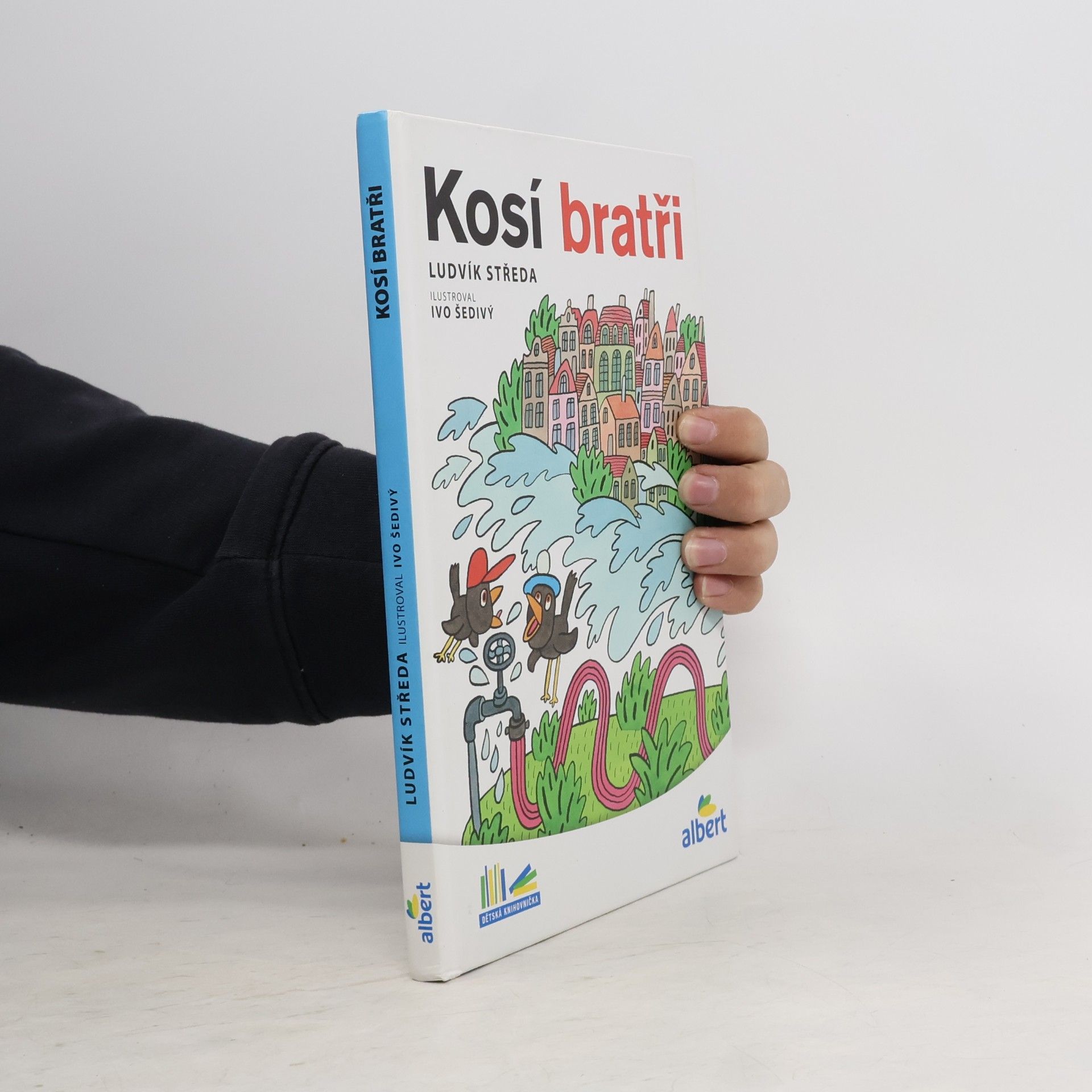 Ludvík Středa Kosí bratři