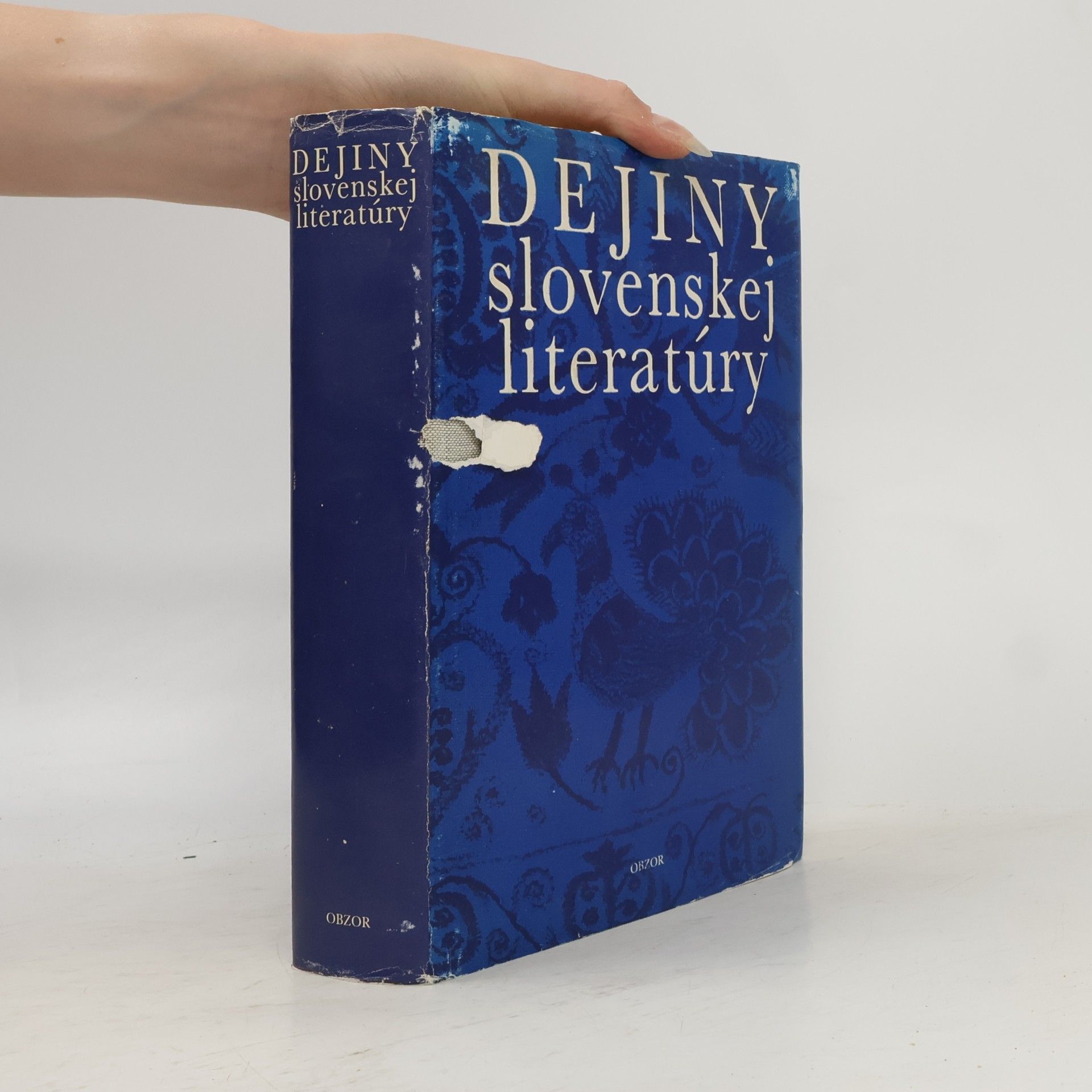 Milan Pišút Dejiny slovenskej literatúry