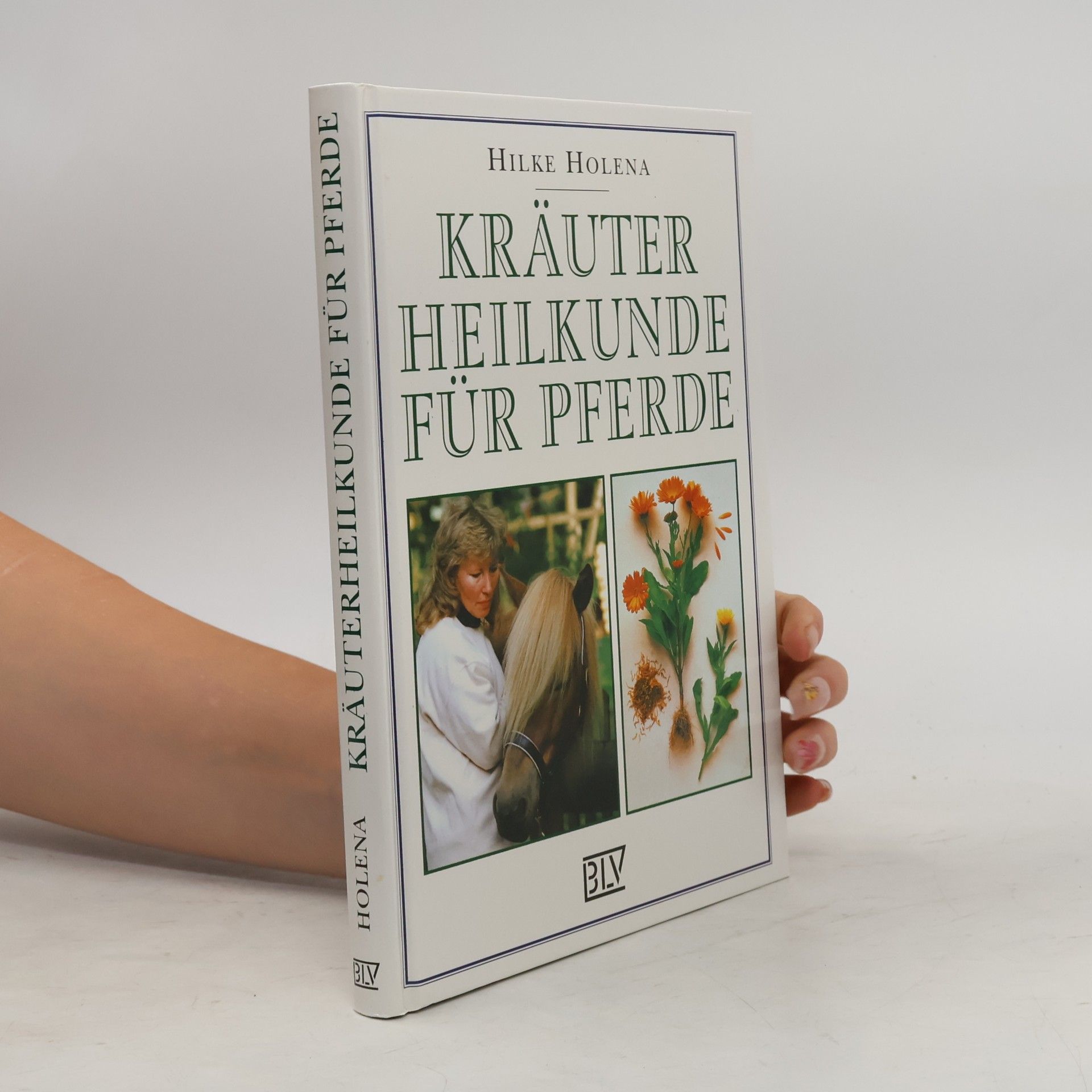 Kräuterheilkunde für Pferde