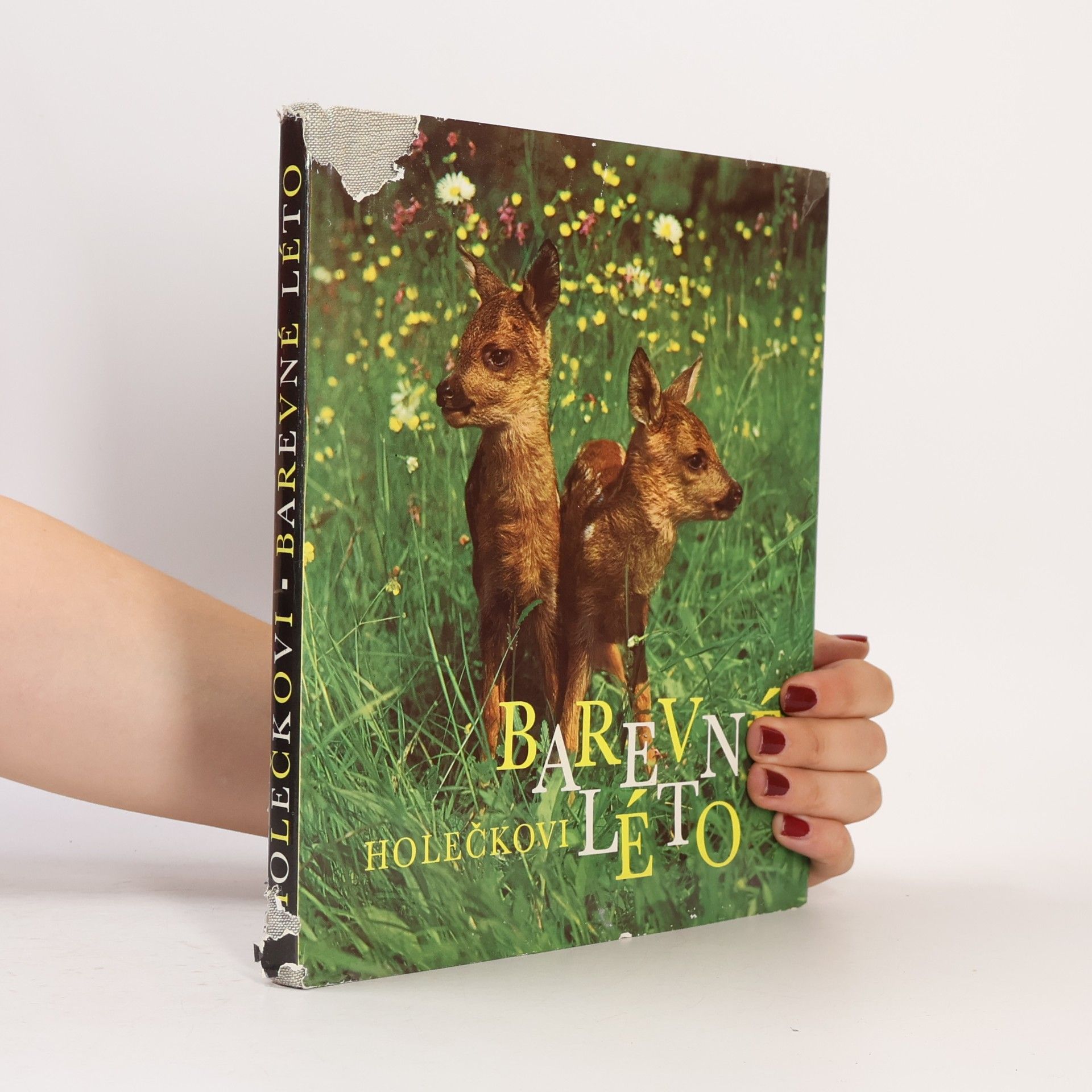 Jaroslav Holeček Barevné léto