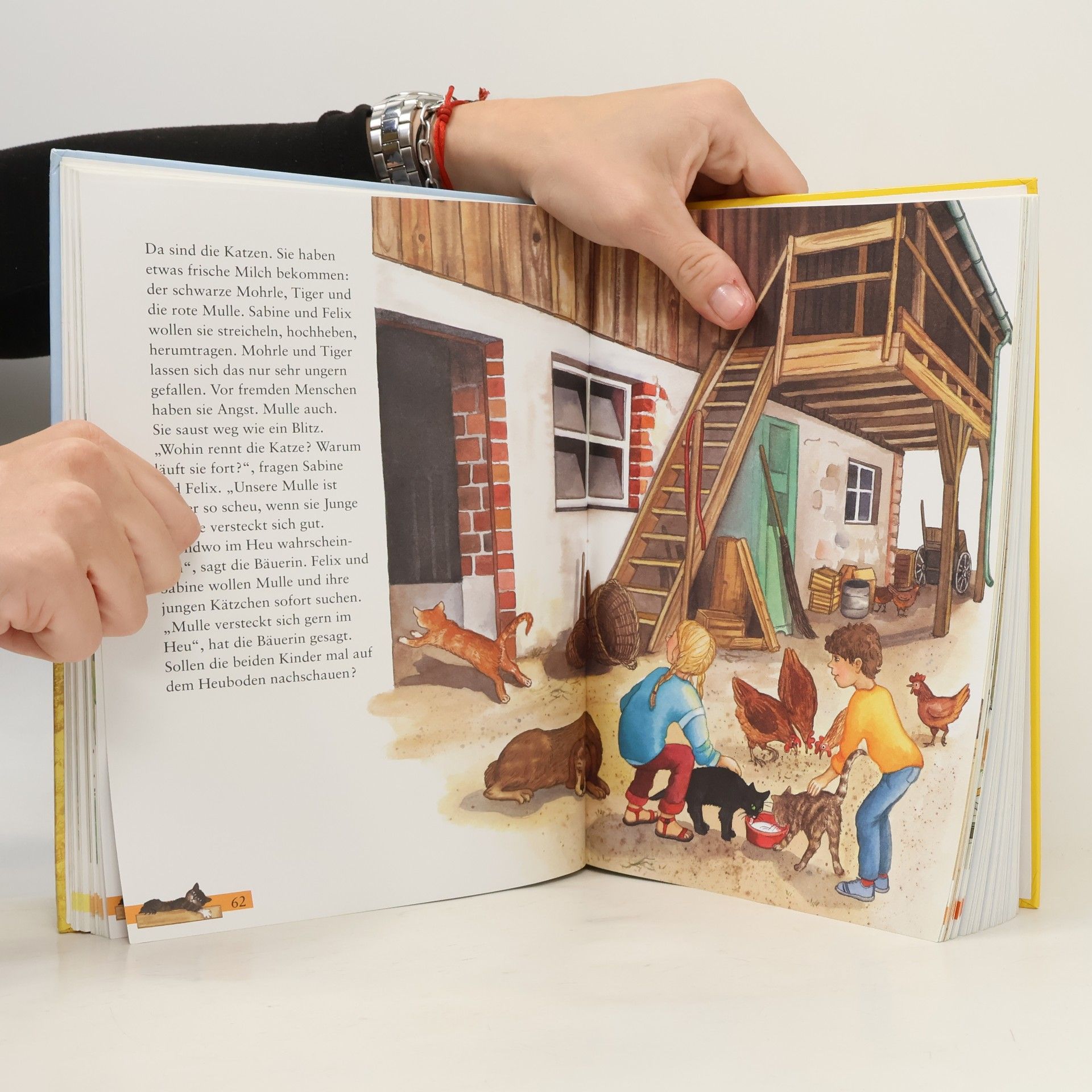 Mein großes Buch der Tiergeschichten