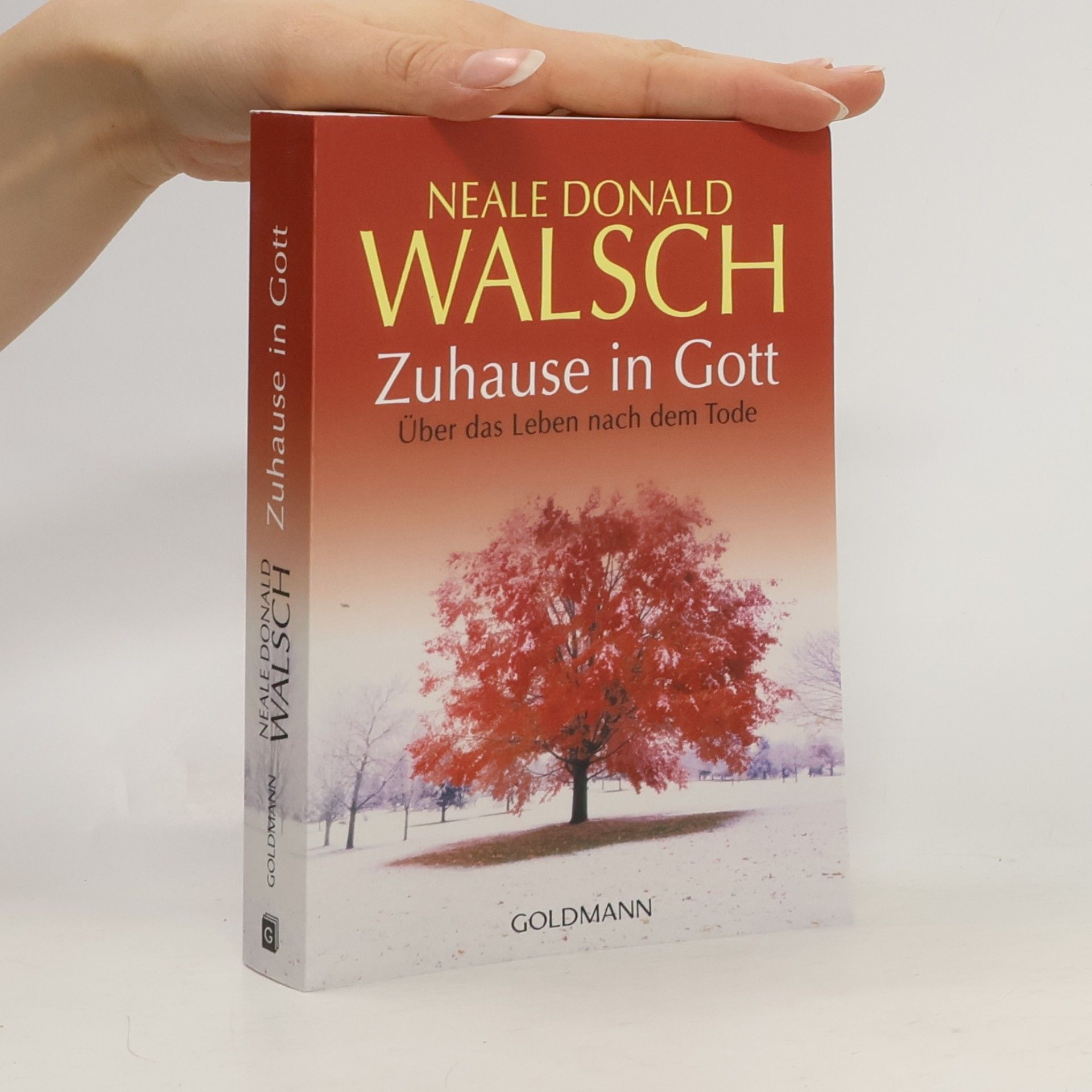 Neale Donald Walsch Zuhause in Gott
