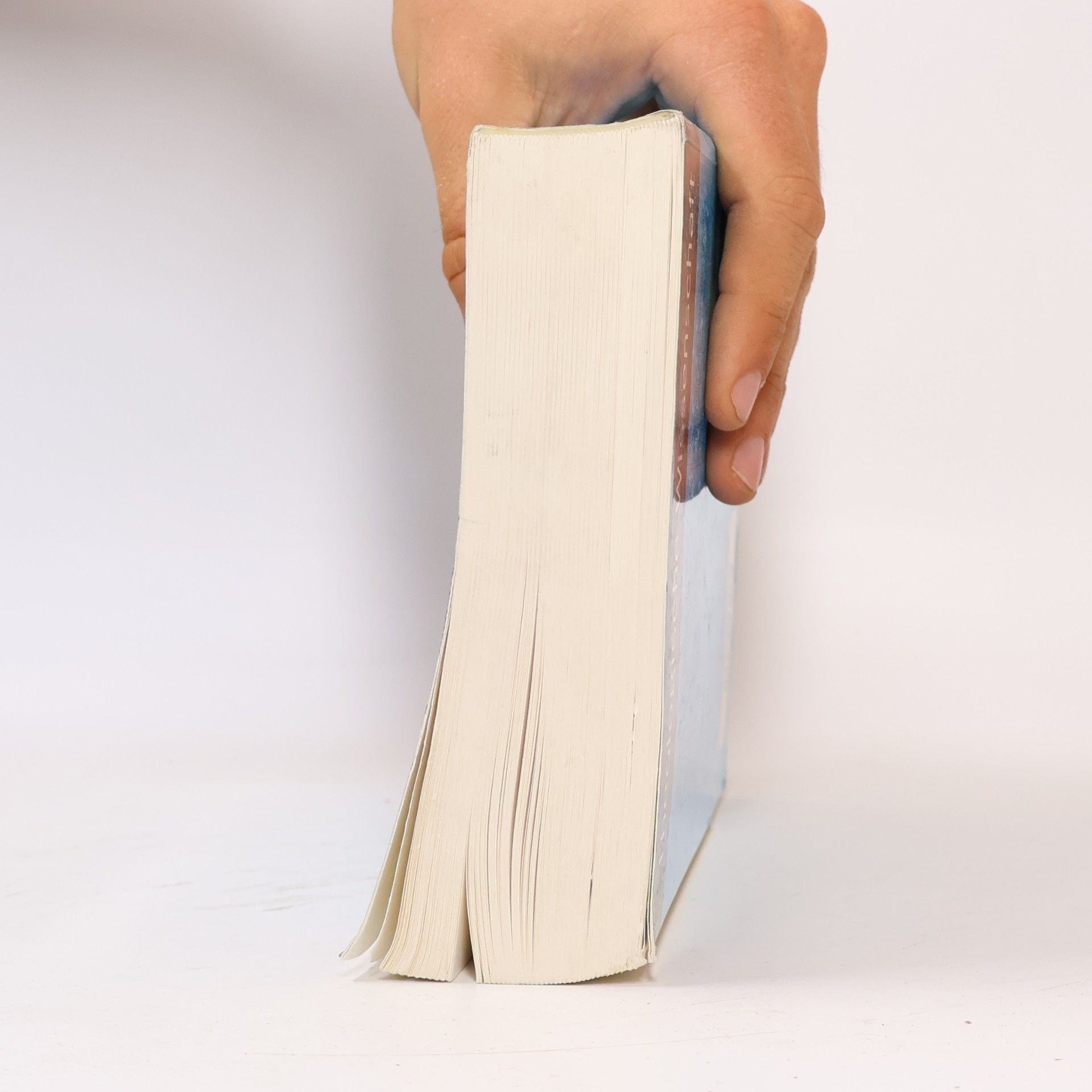 Wolfgang Steck Praktische Theologie. Band 1