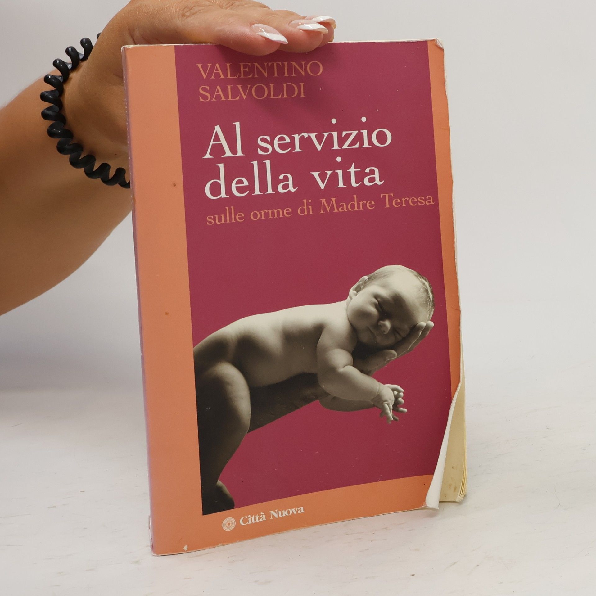 Valentino Salvoldi Al servizio della vita. Sulle orme di Madre Teresa