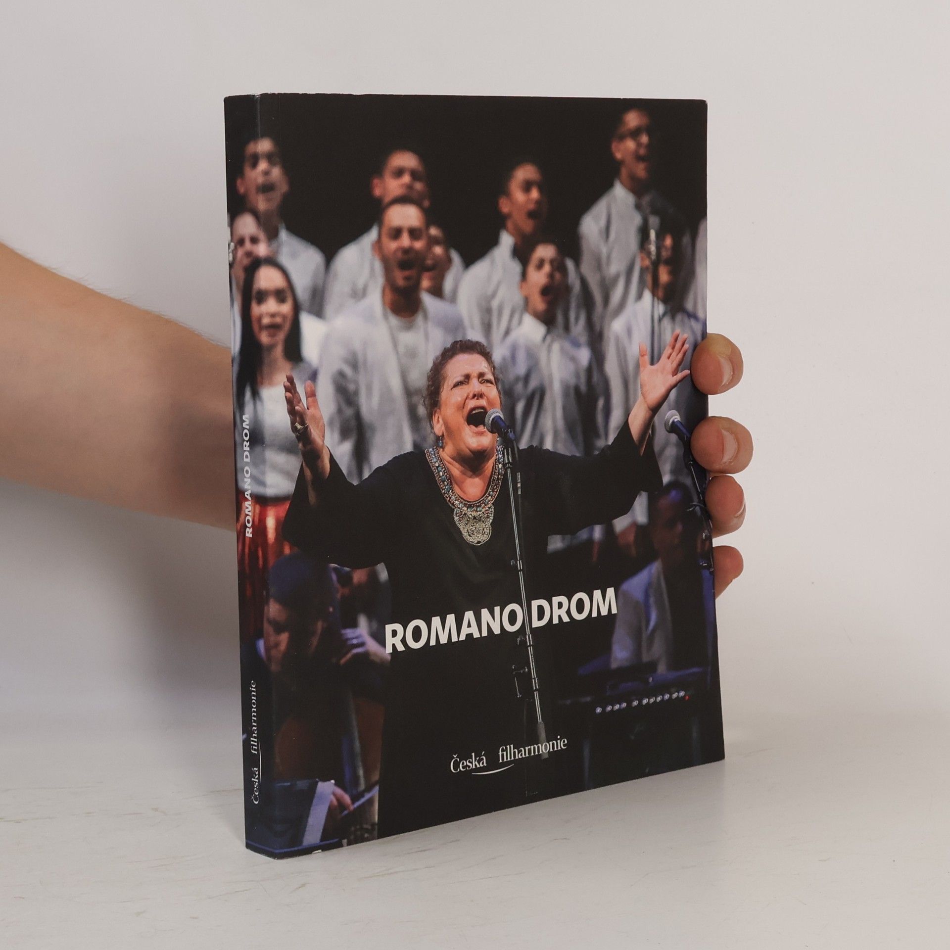 Autores varios Romano Drom