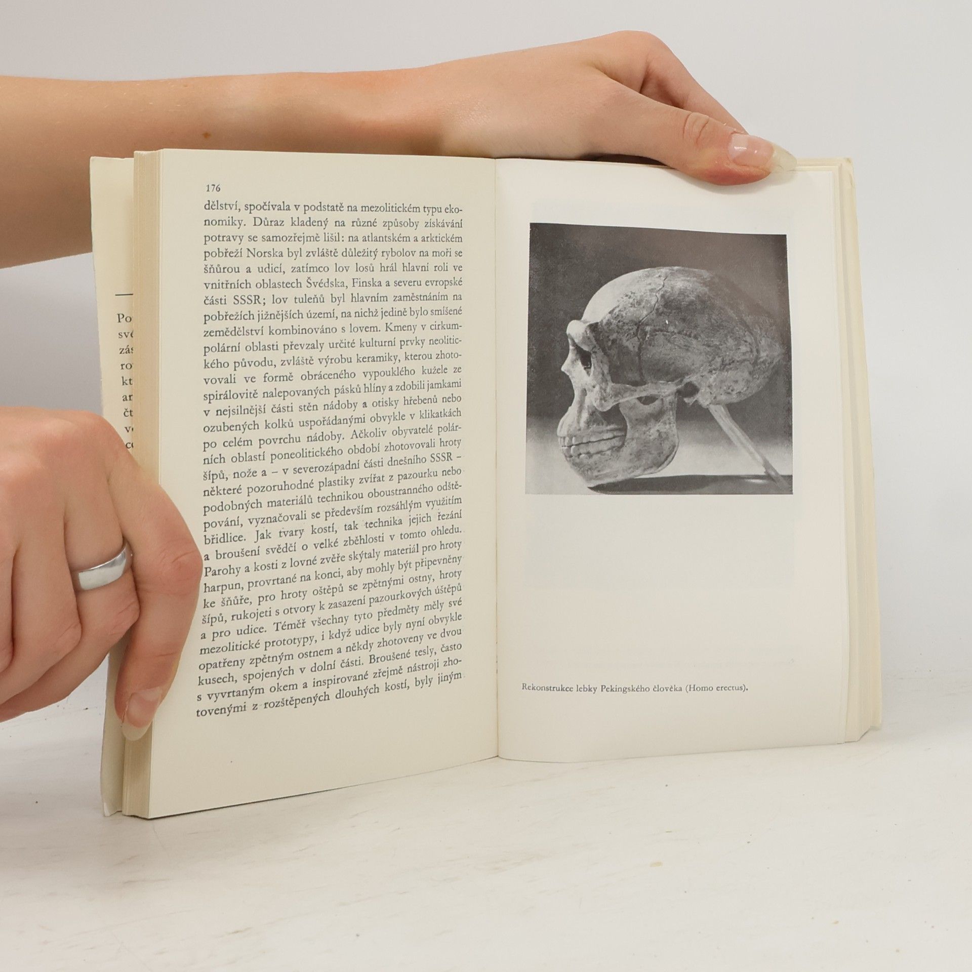 Grahame Clark Prehistorie světa