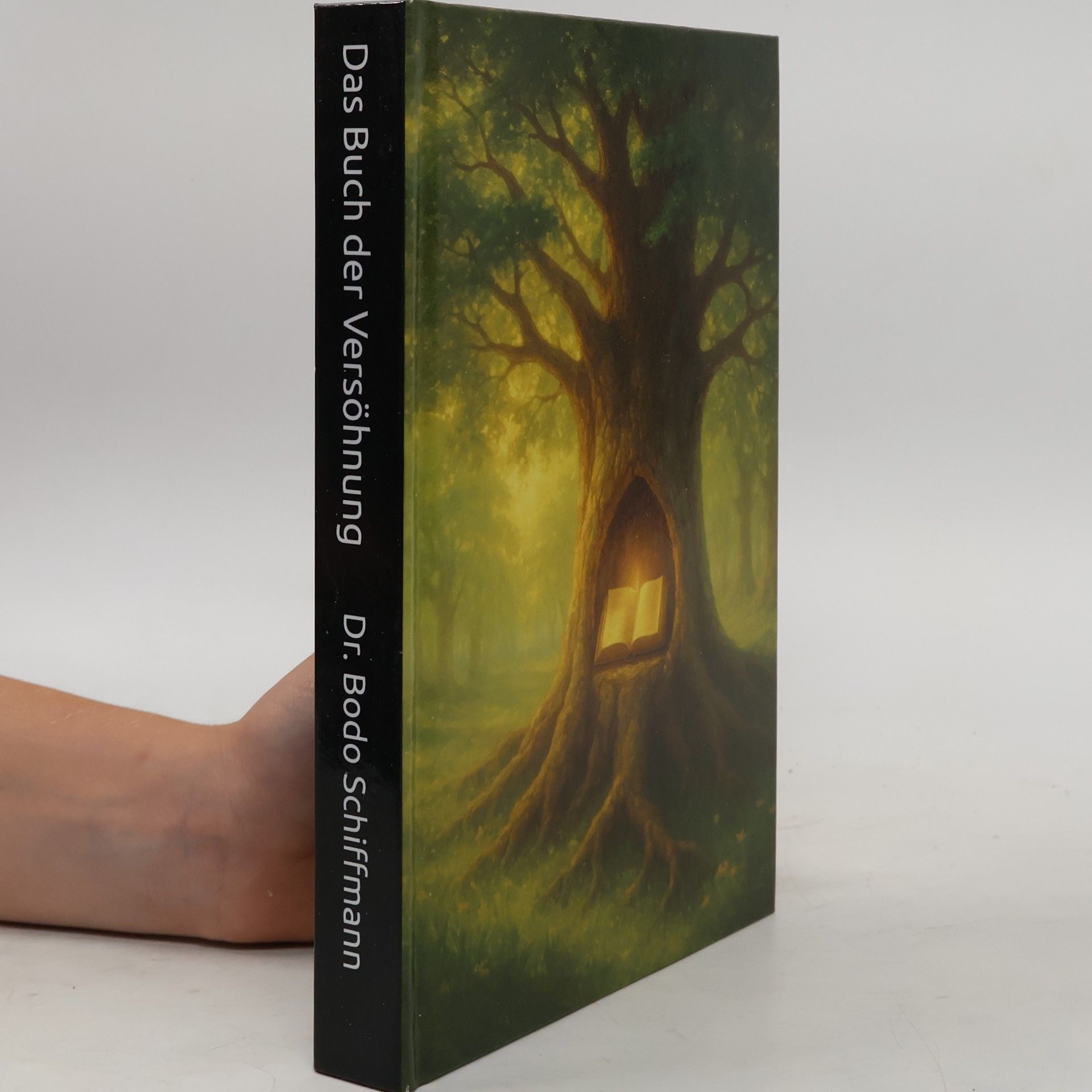 Dr. Bodo Schiffmann Das Buch der Versöhnung: Wenn Religionen sich vereinen, verlieren die Mächtigen Ihr Spiel