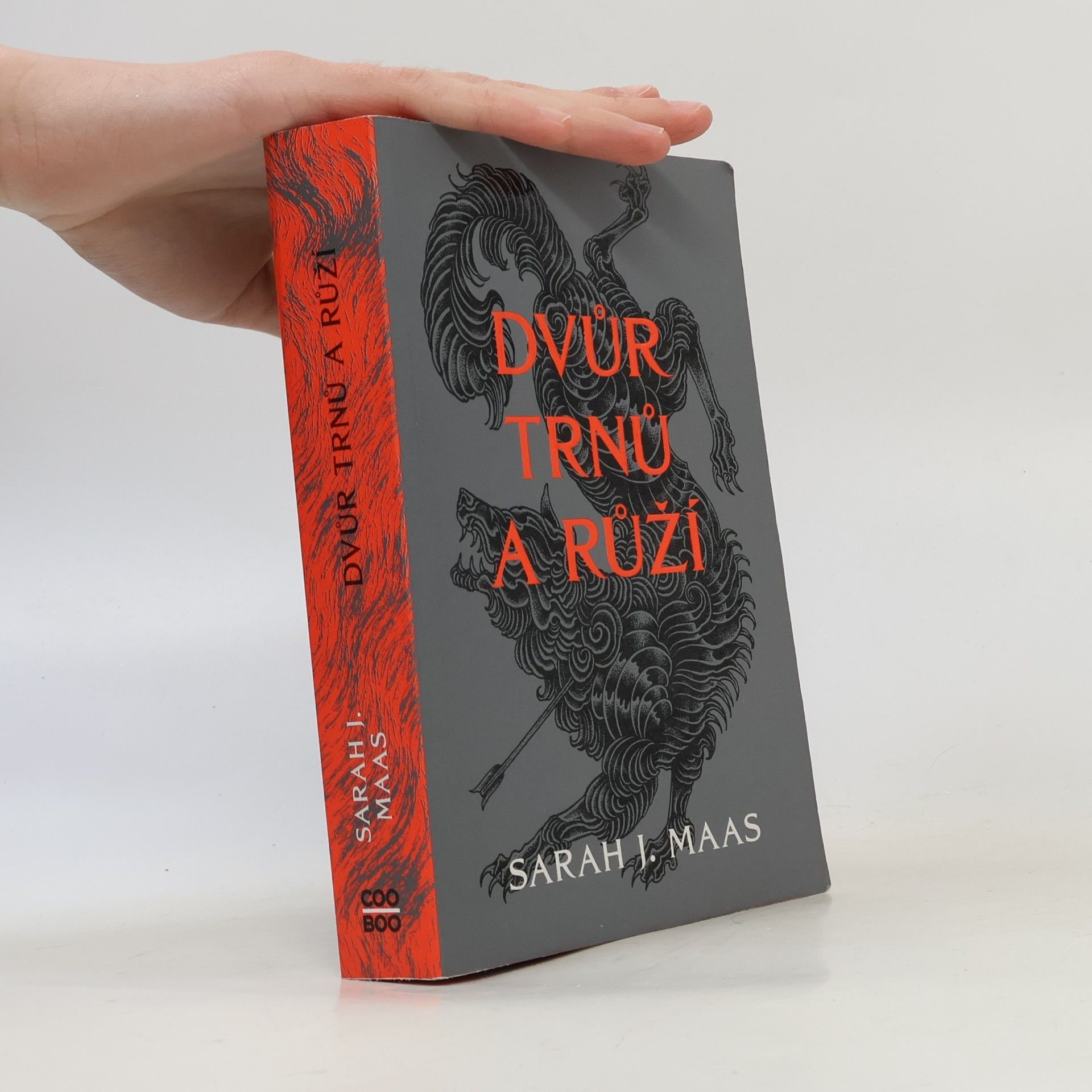 Sarah J. Maas Dvůr trnů a růží
