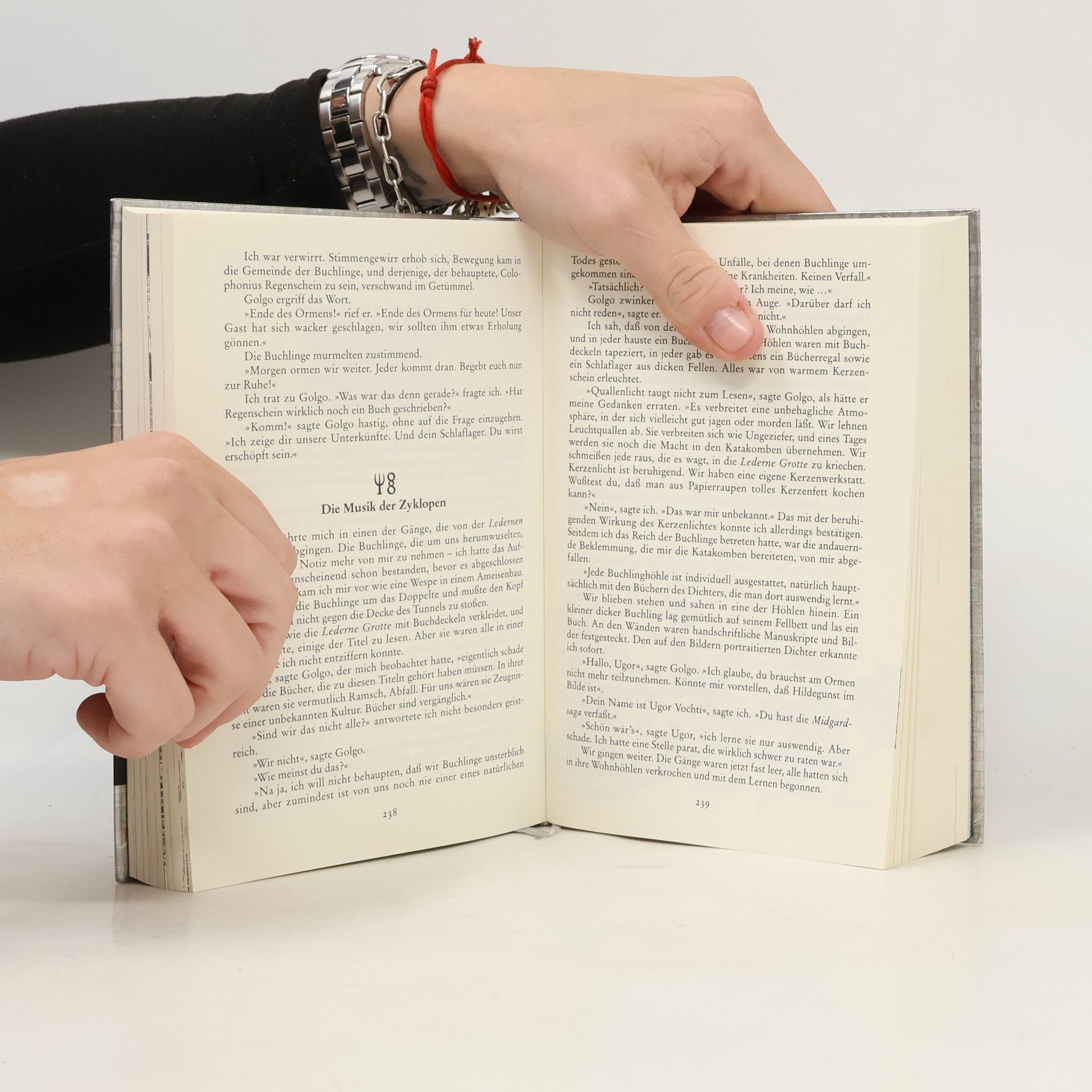 Walter Moers Die Stadt der träumenden Bücher