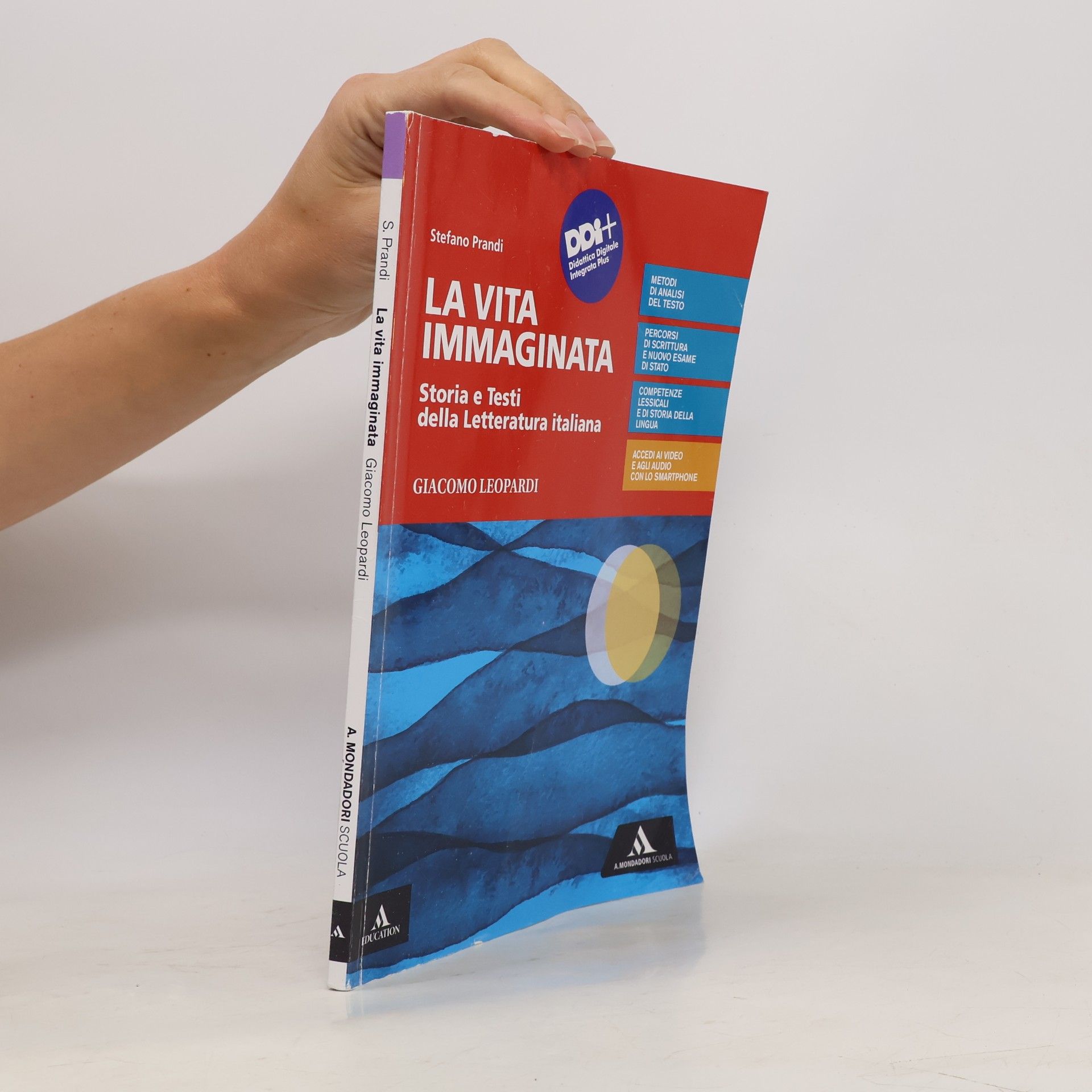 La vita immaginata