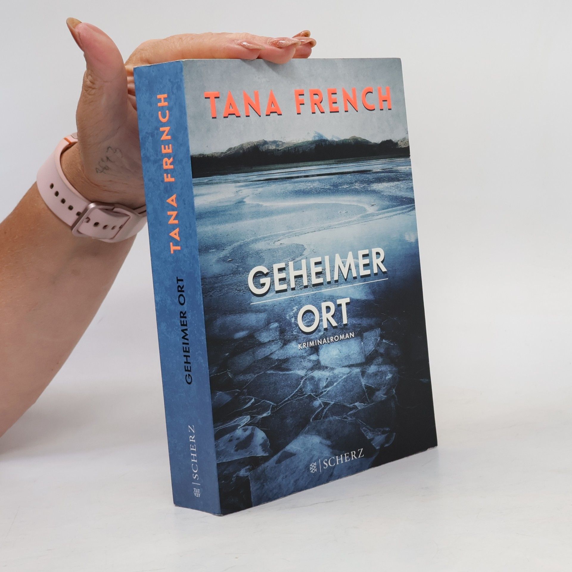 Tana French Geheimer Ort