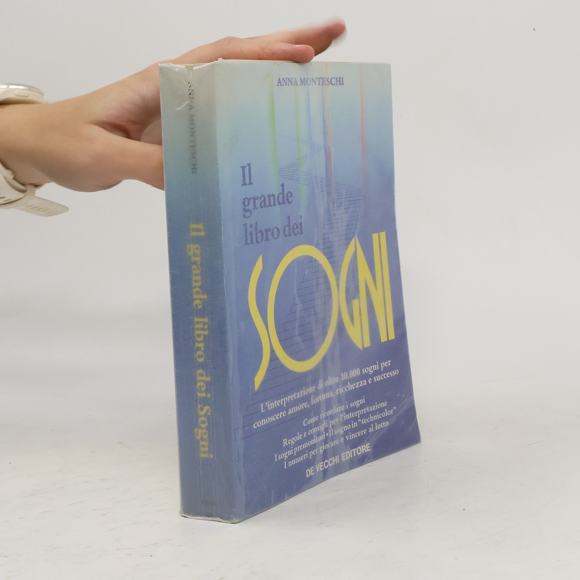 Anna Monteschi Il grande libro dei sogni