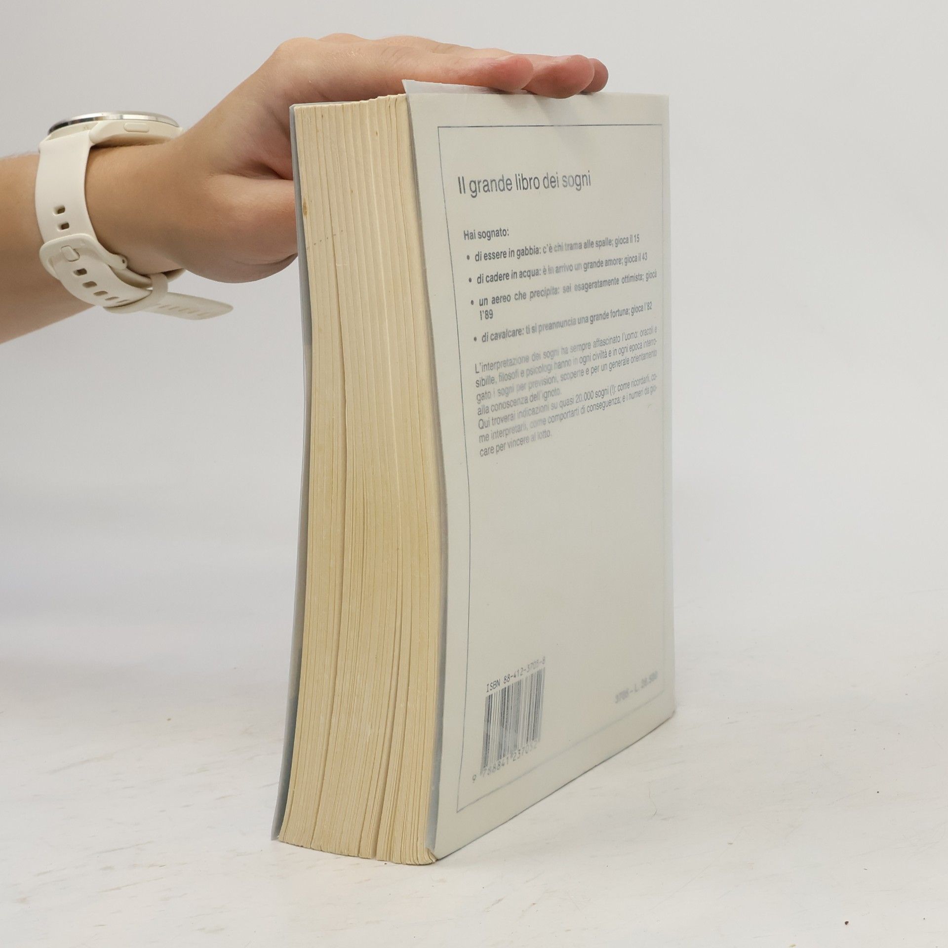 Anna Monteschi Il grande libro dei sogni