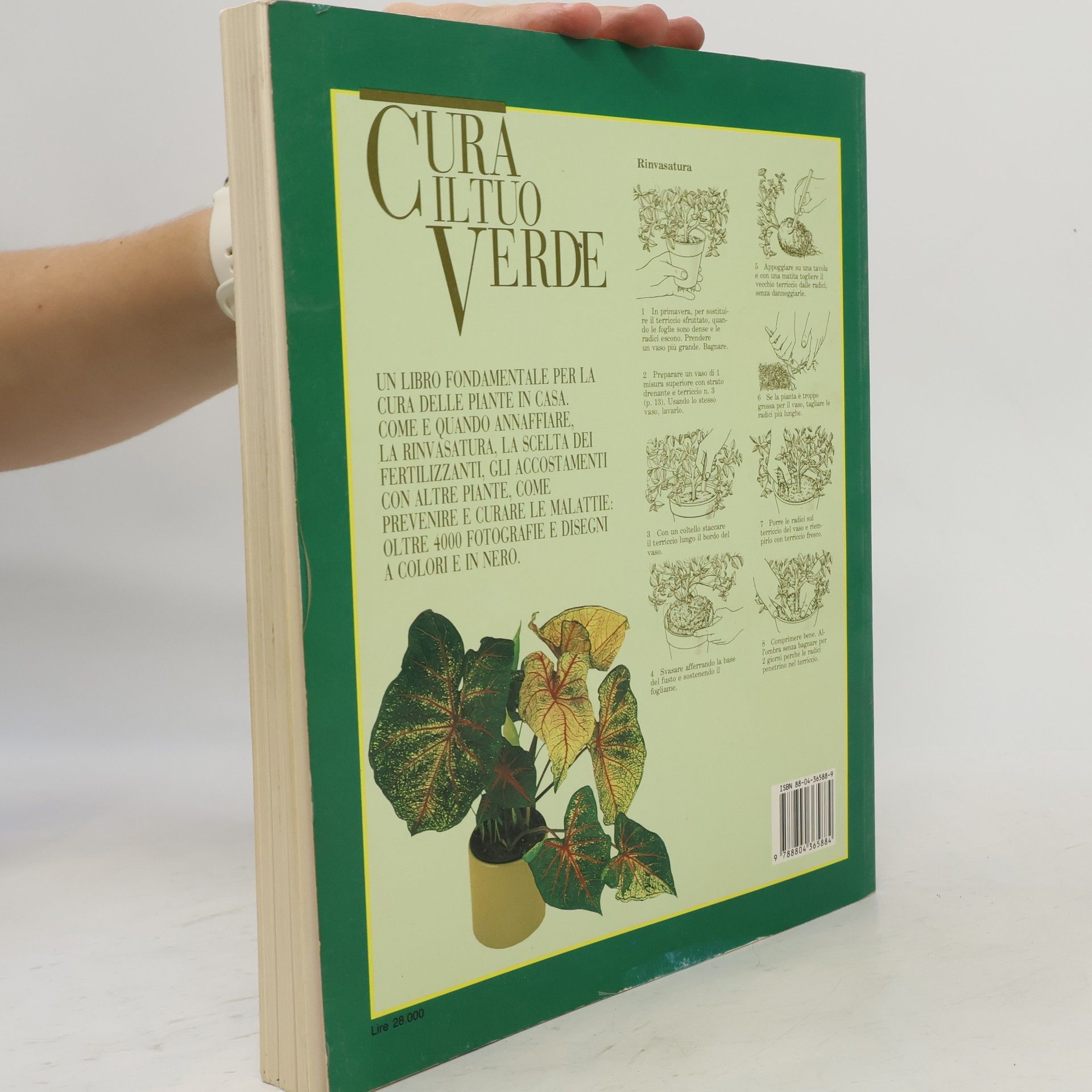 David Longman Paperback Illustrati: Cura il tuo verde