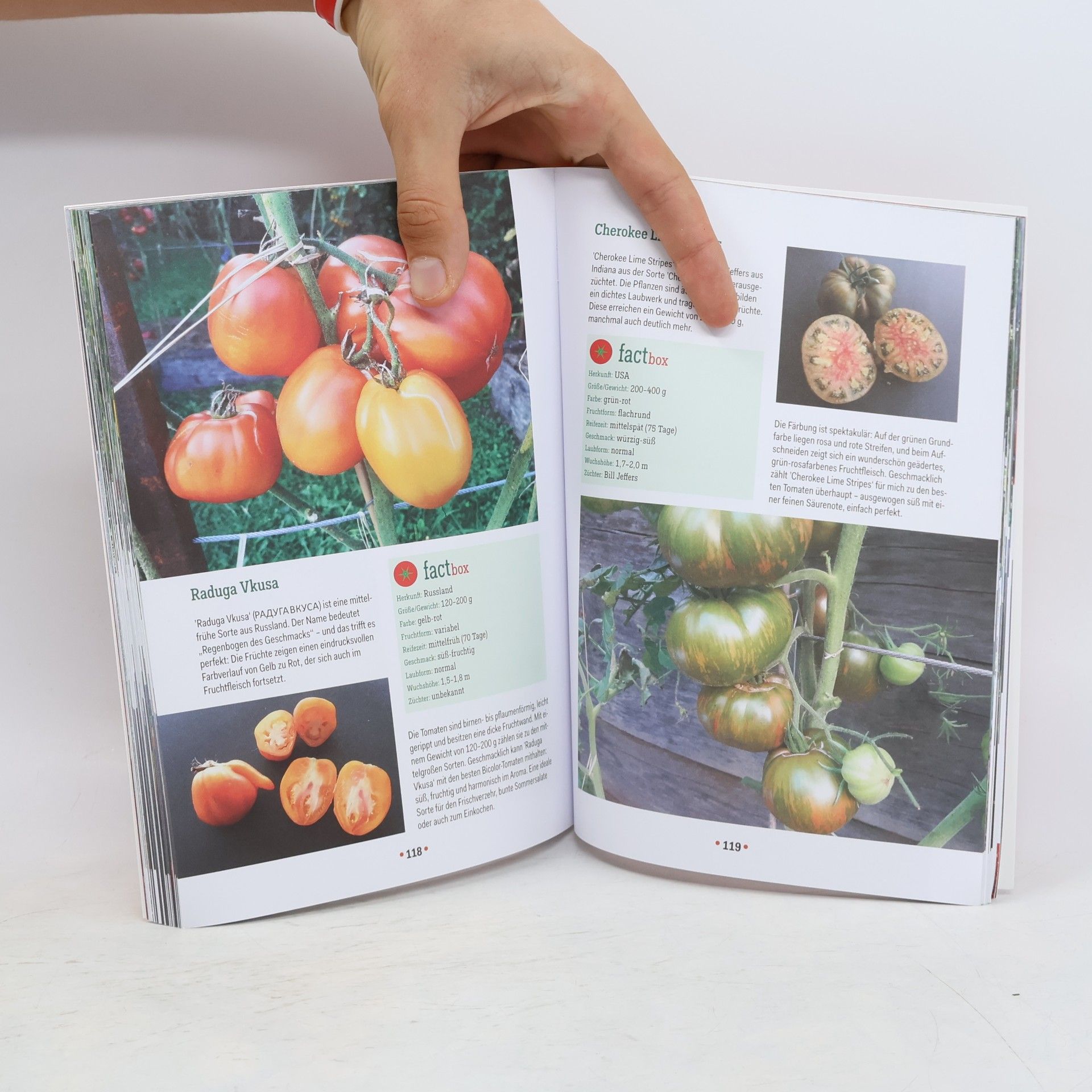 Thomas Seidl Der Tomatenflüsterer