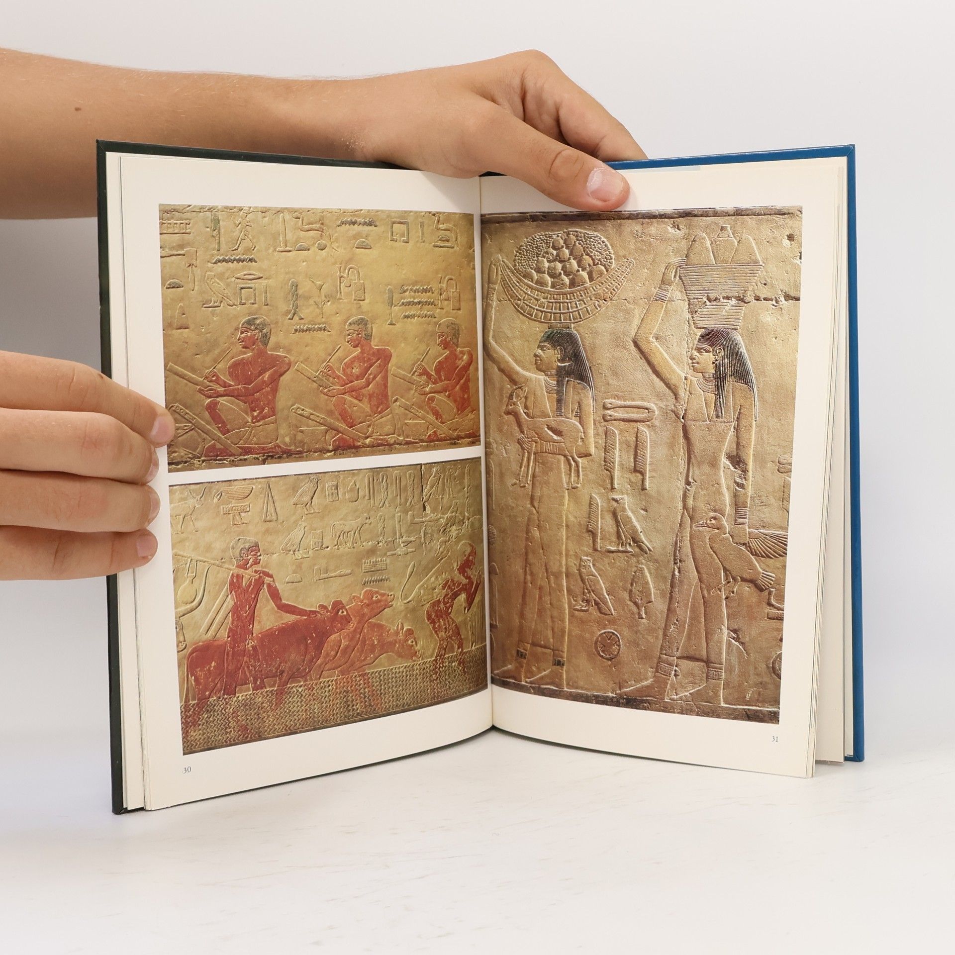 Enrica Leospo Saqqara e Giza