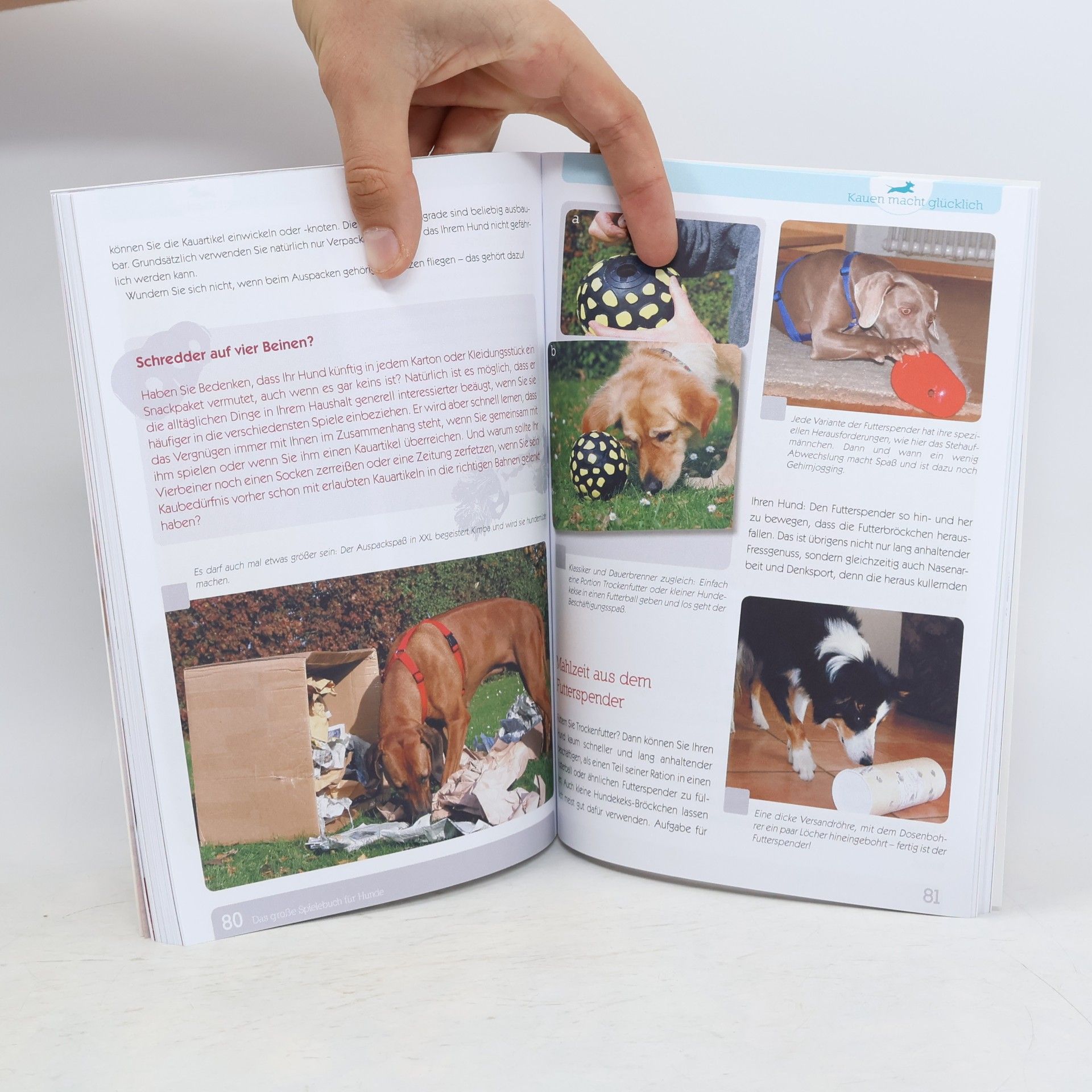 Christina Sondermann Das große Spielebuch für Hunde