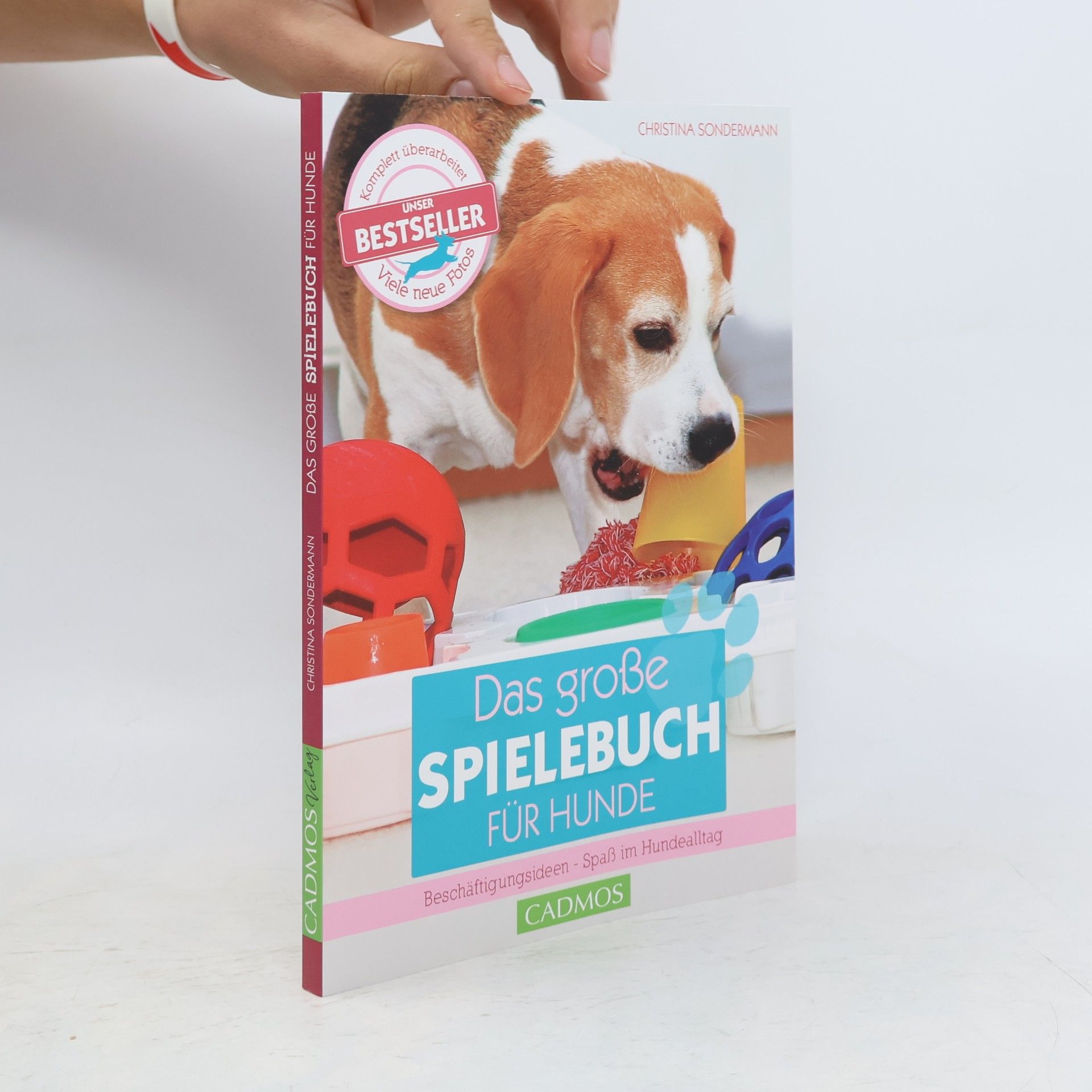 Christina Sondermann Das große Spielebuch für Hunde