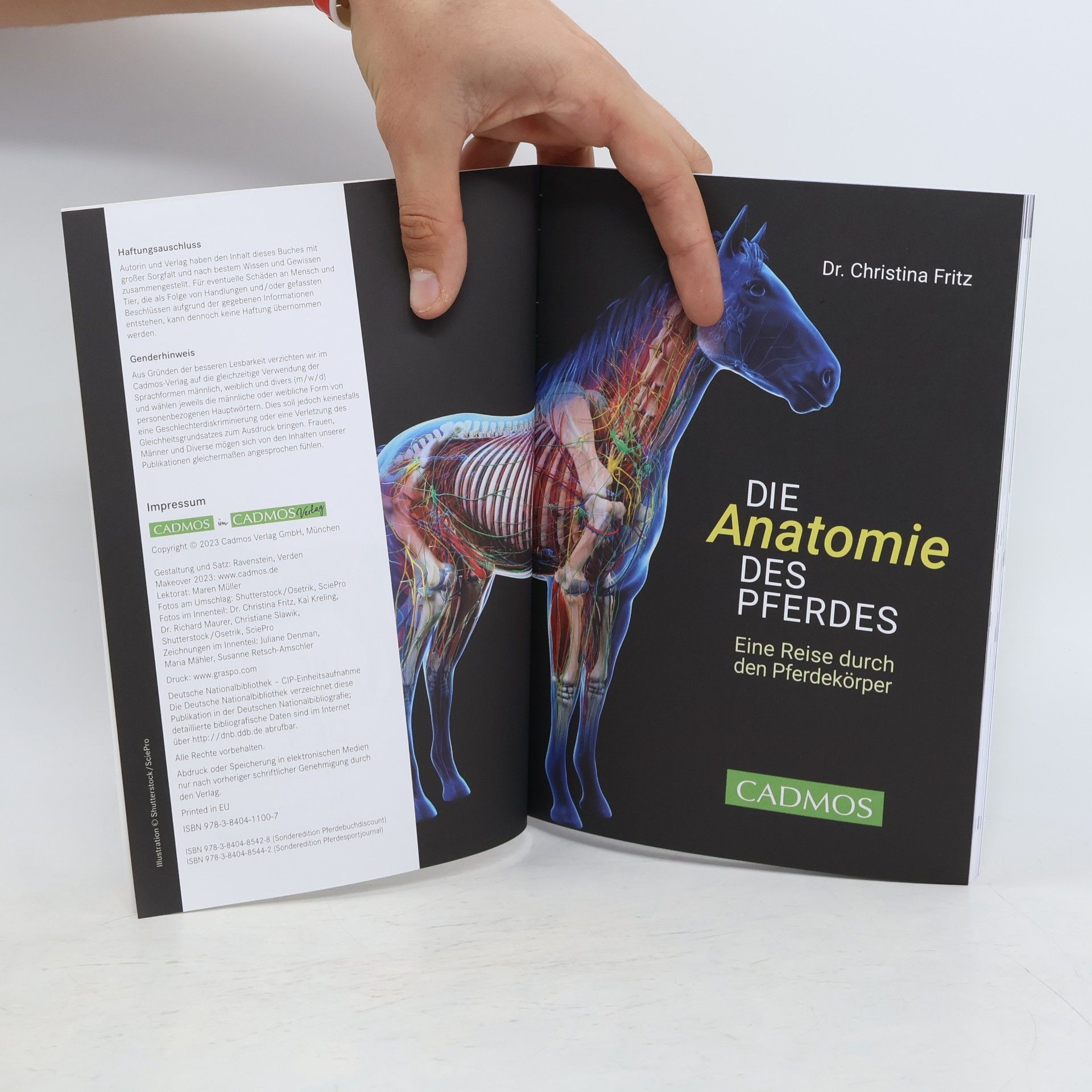 Christina Fritz Die Anatomie des Pferdes