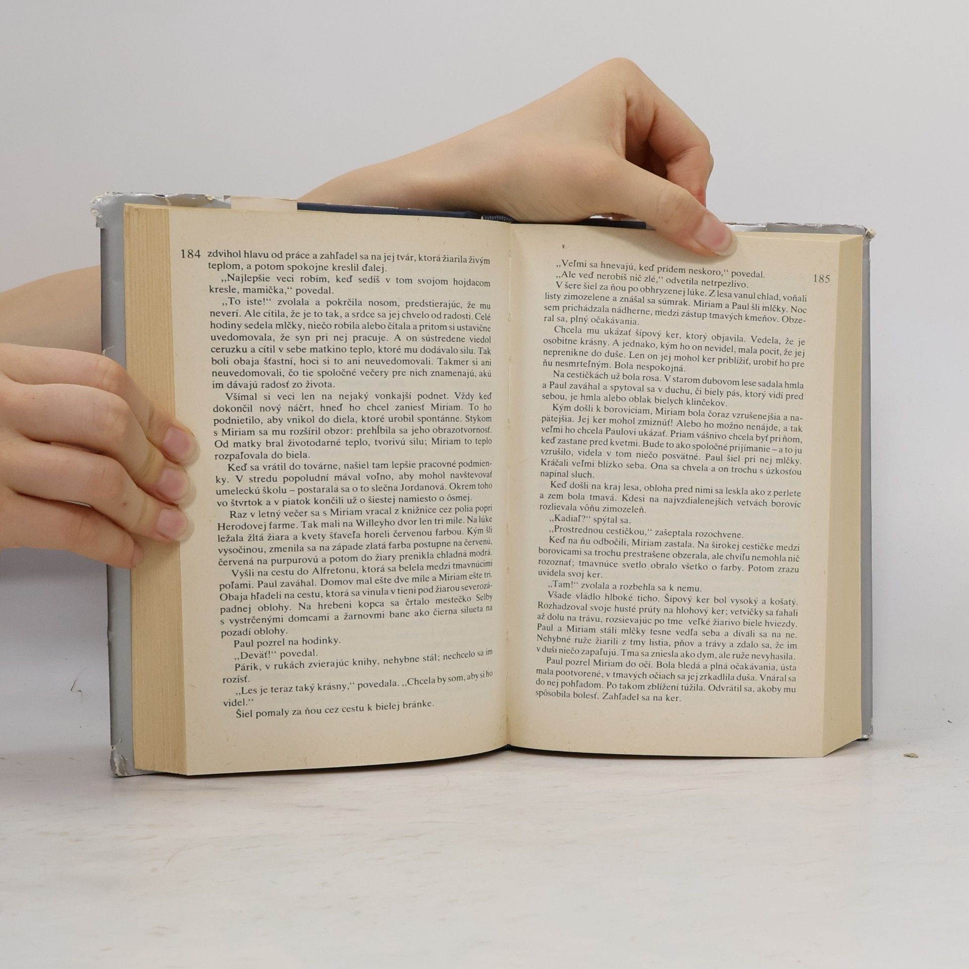 David Herbert Lawrence Synovia a milenci