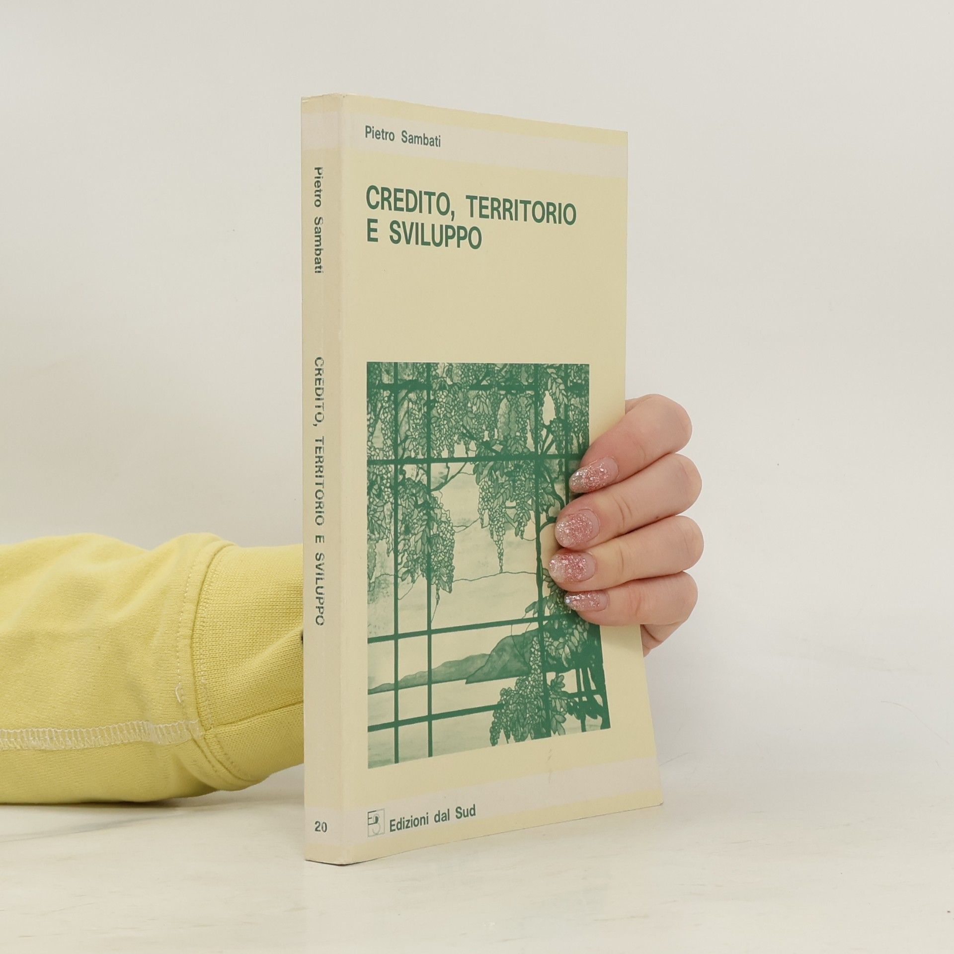 Pietro Sambati Credito, territorio e sviluppo