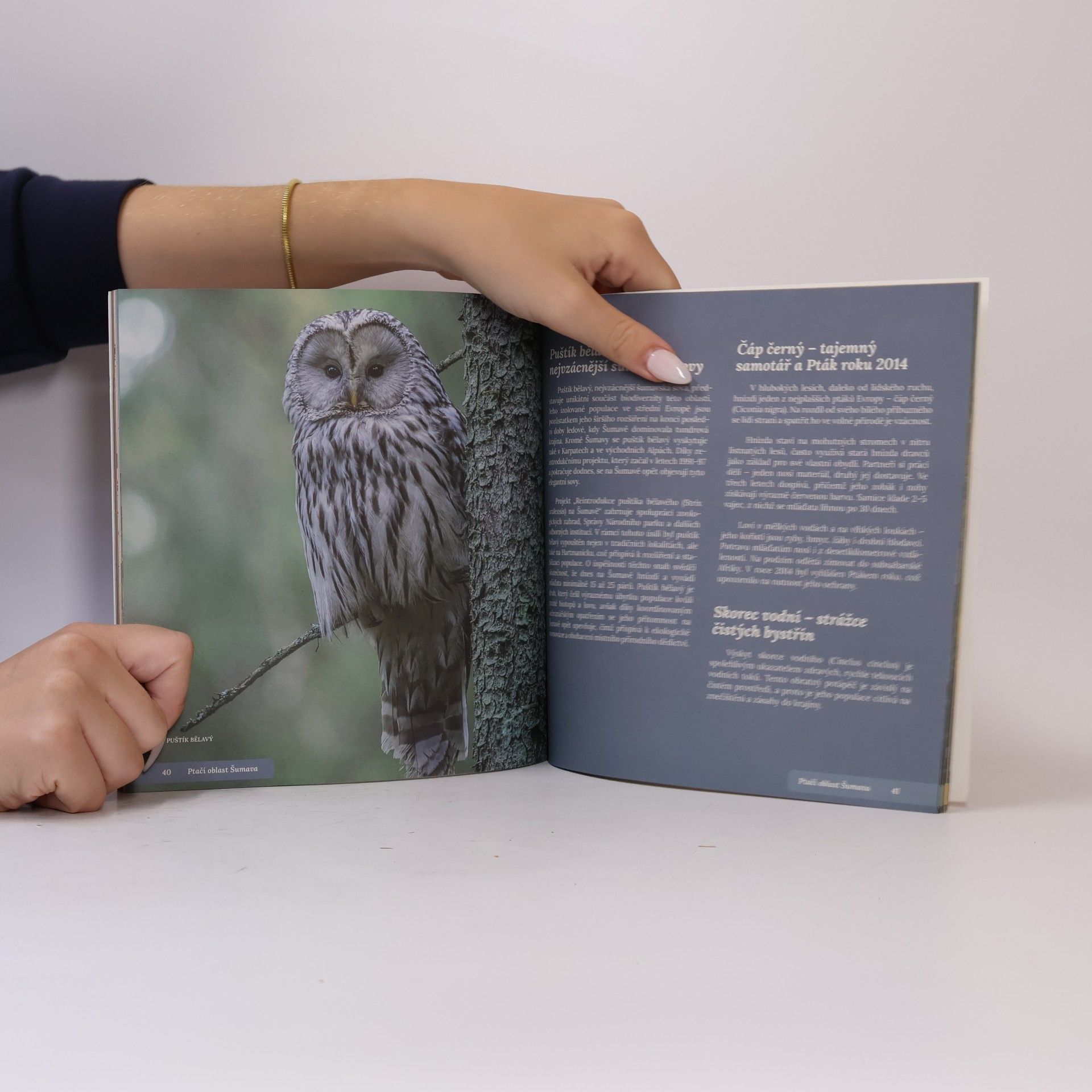 Collectif d'auteurs Přírodou a dějinami Hartmanic