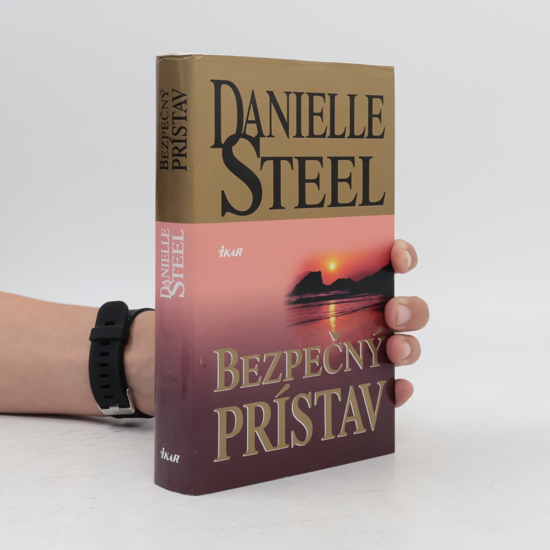 Danielle Steel Bezpečný prístav