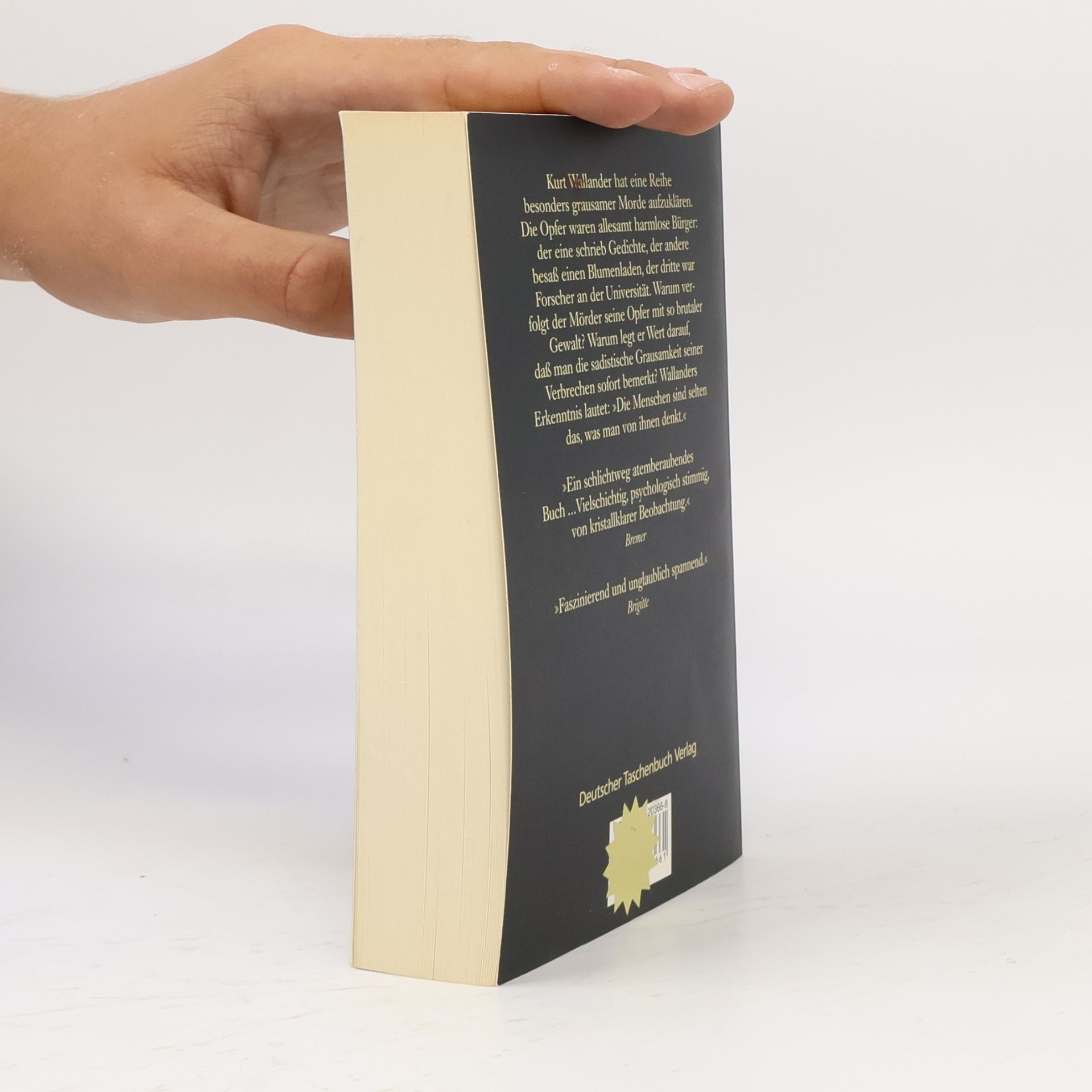 Henning Mankell Die fünfte Frau
