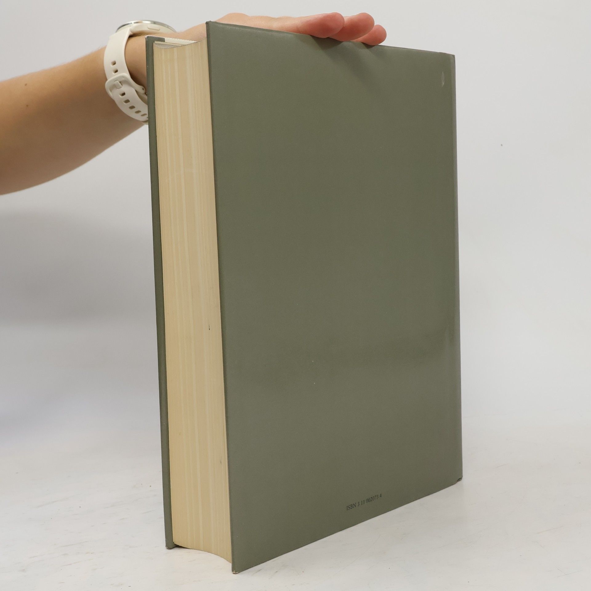 Walter Bauer-Wabnegg Griechisch-deutsches Wörterbuch zu den Schriften des Neuen Testaments und der übrigen urchristlichen Literatur