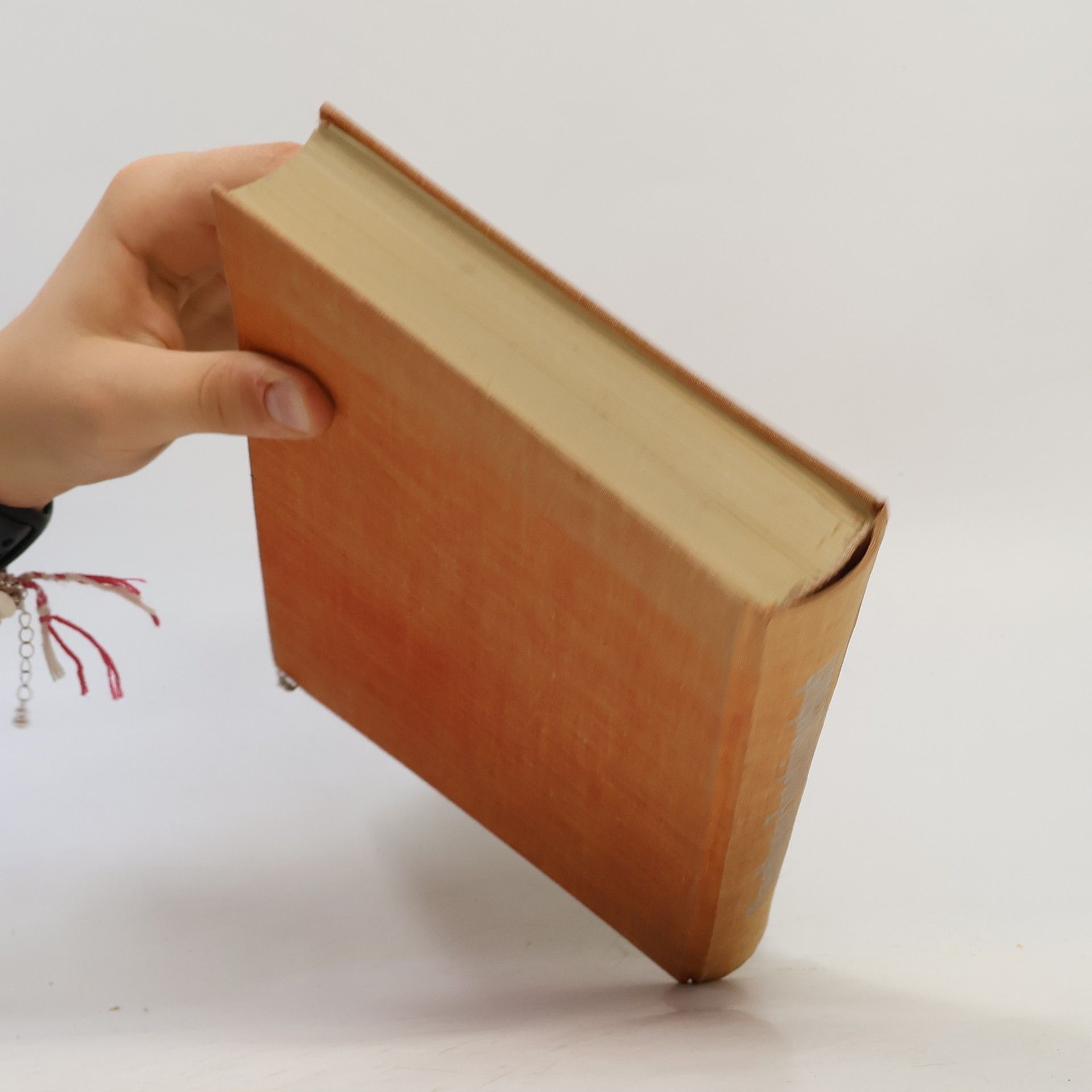 Kolektiv autorů Vorarlberger Jungbürgerbuch