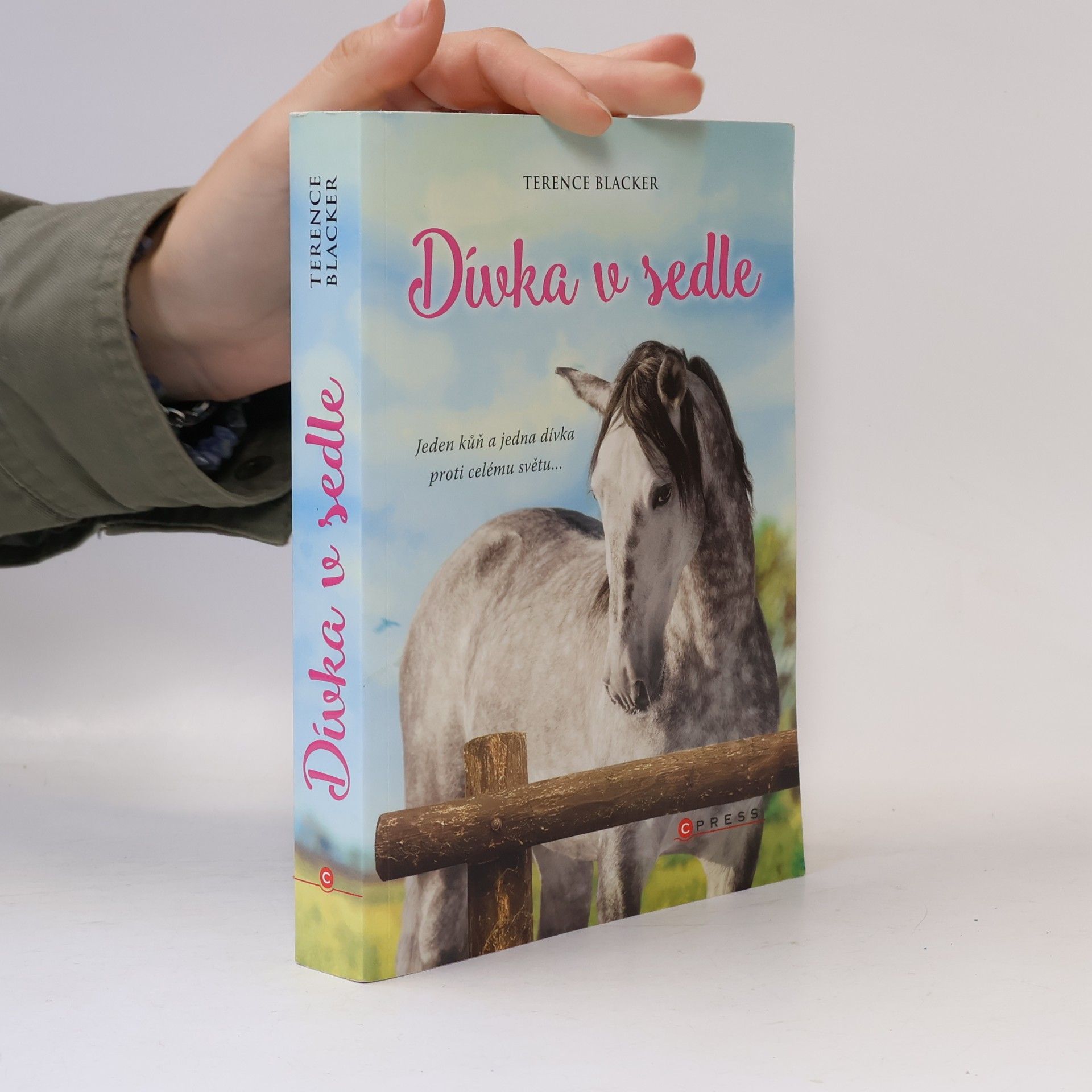 Terence Blacker Dívka v sedle