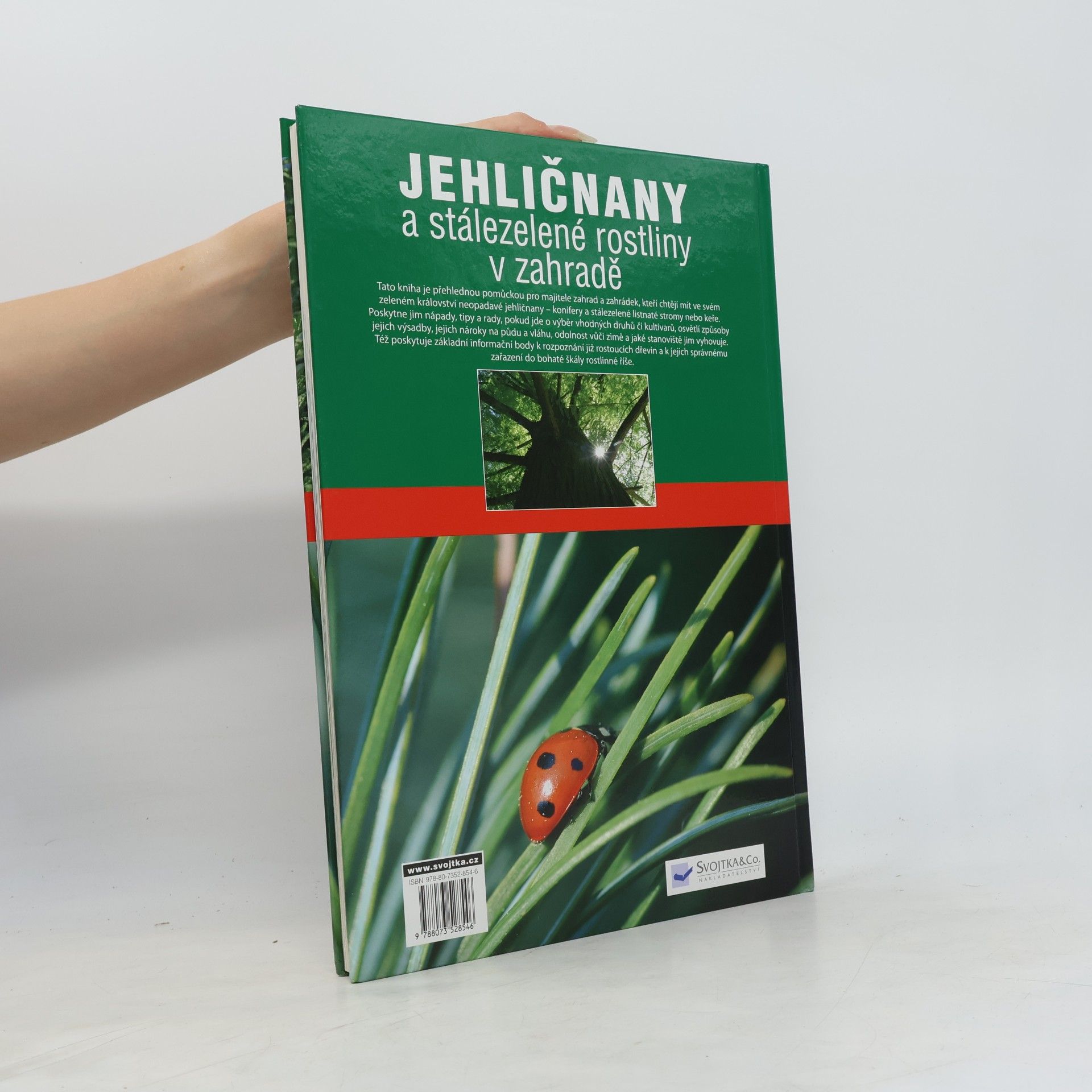 Marcell Kiss Jehličnany a stálezelené rostliny v zahradě