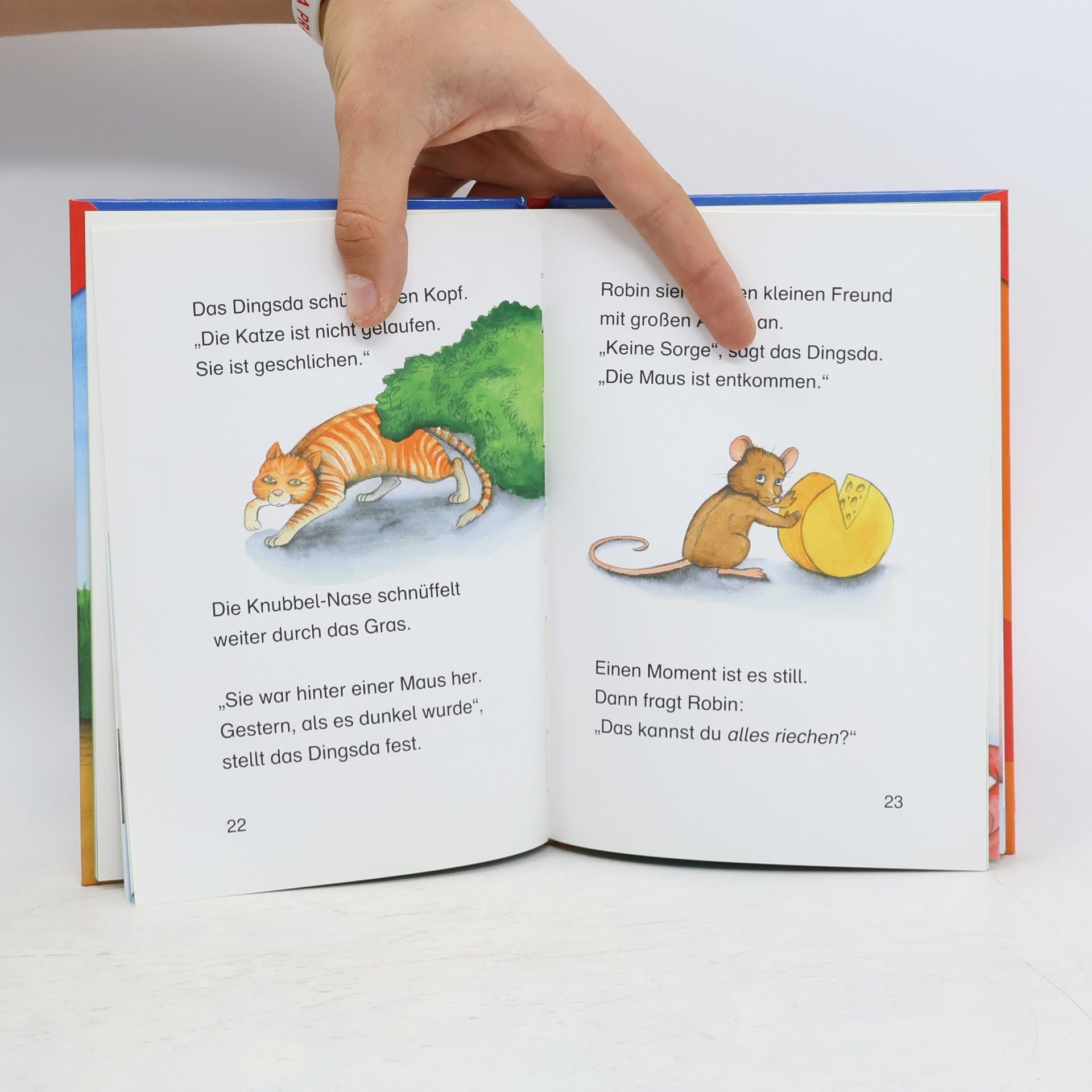 Susanne Lütje Robin und das Dingsda, der richtige Riecher